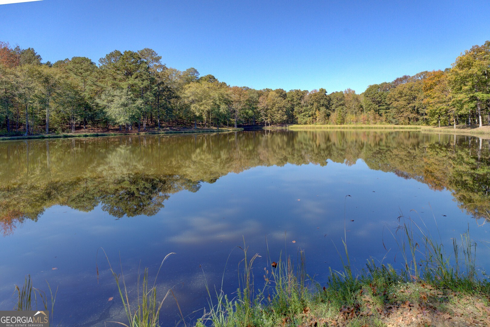 0 Ga Highway 142 # A Property Photo 18