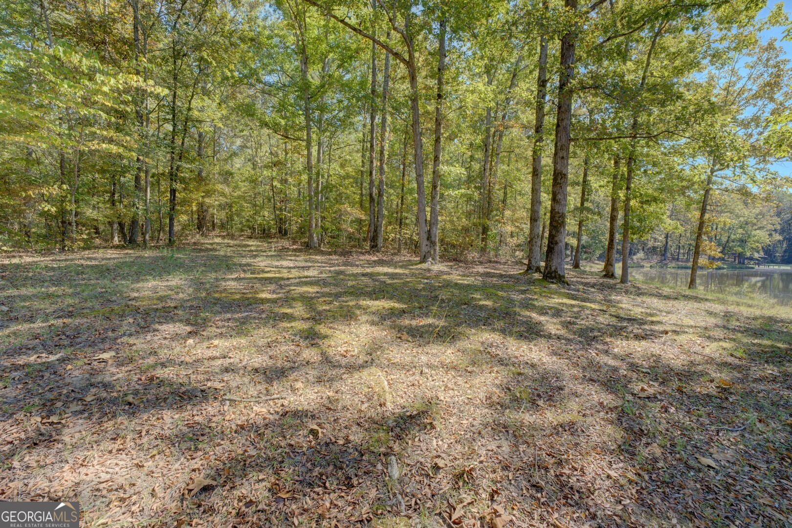0 Ga Highway 142 # A Property Photo 19