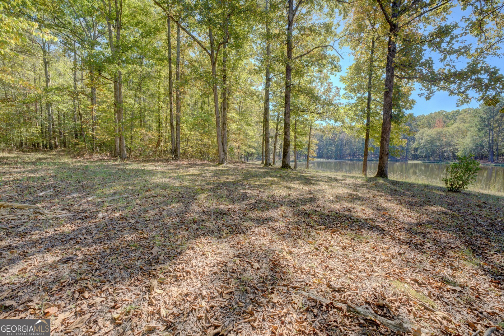 0 Ga Highway 142 # A Property Photo 20