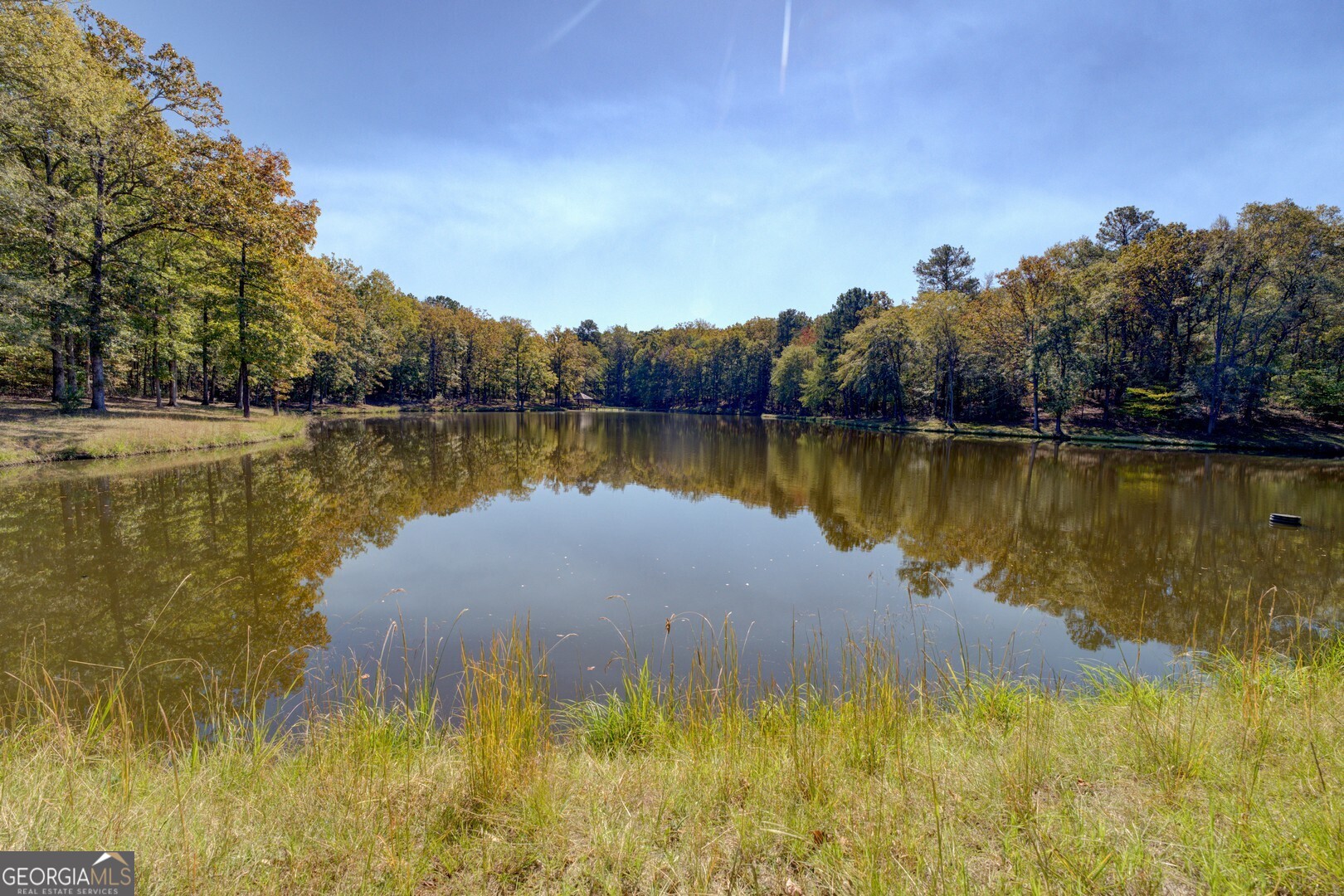 0 Ga Highway 142 # A Property Photo 21