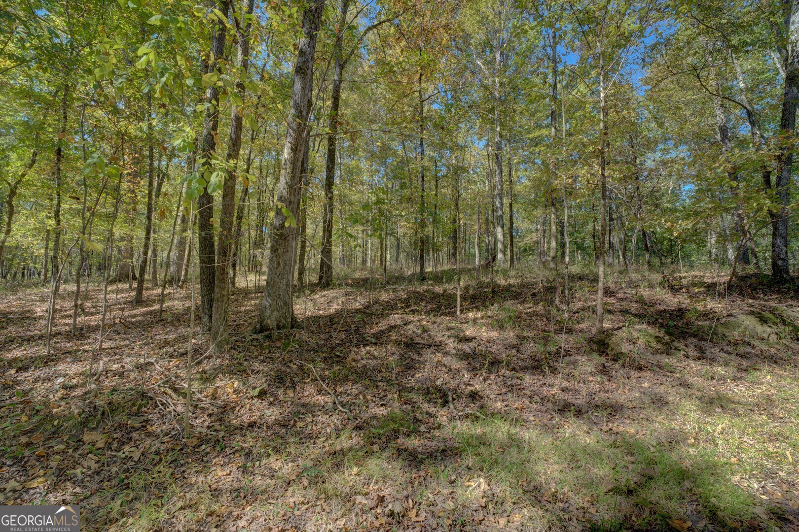 0 Ga Highway 142 # A Property Photo 23