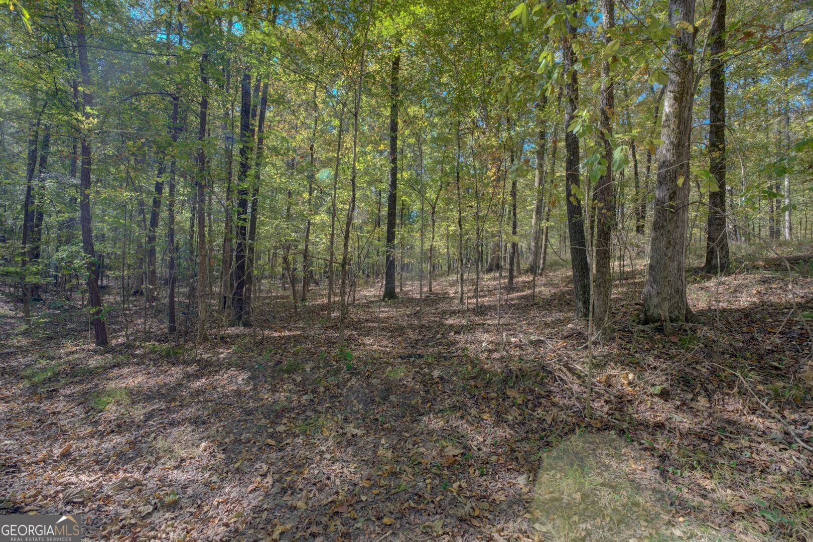 0 Ga Highway 142 # A Property Photo 24