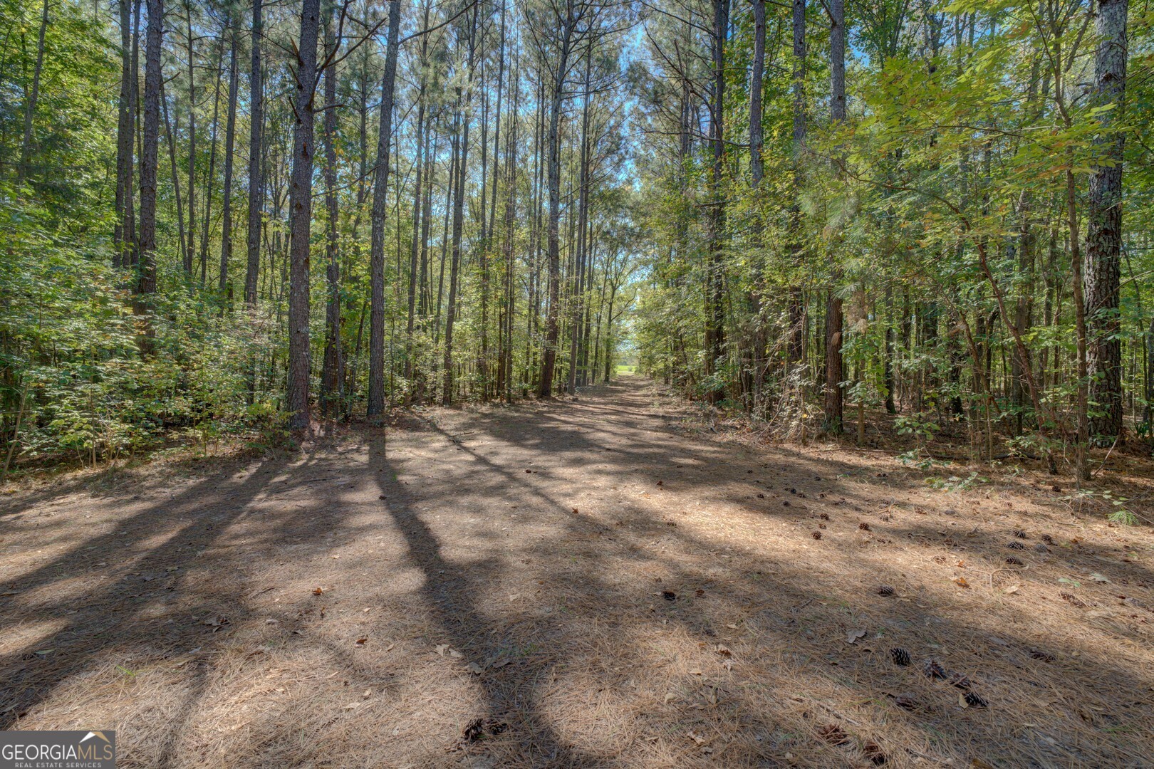 0 Ga Highway 142 # A Property Photo 25