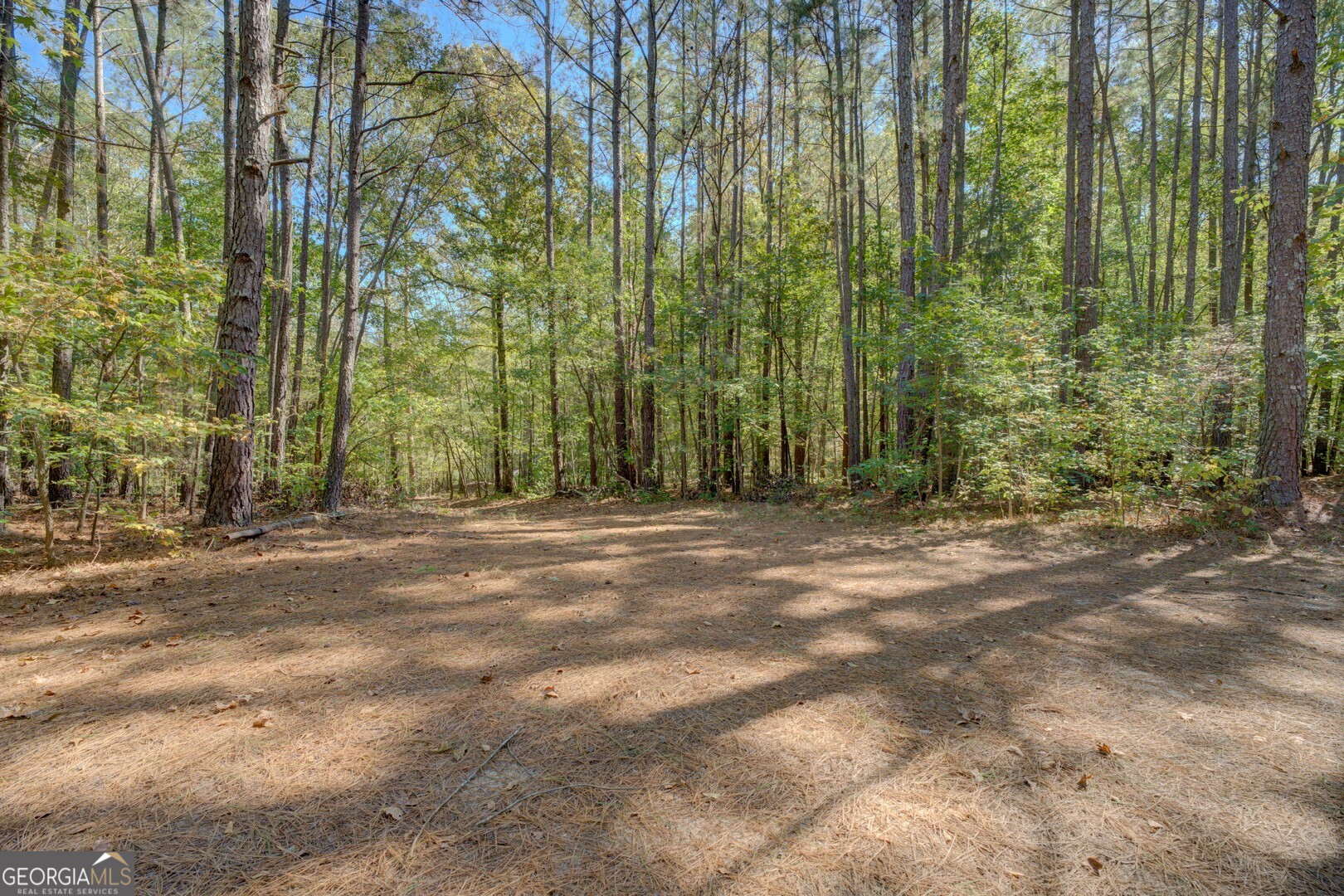 0 Ga Highway 142 # A Property Photo 26