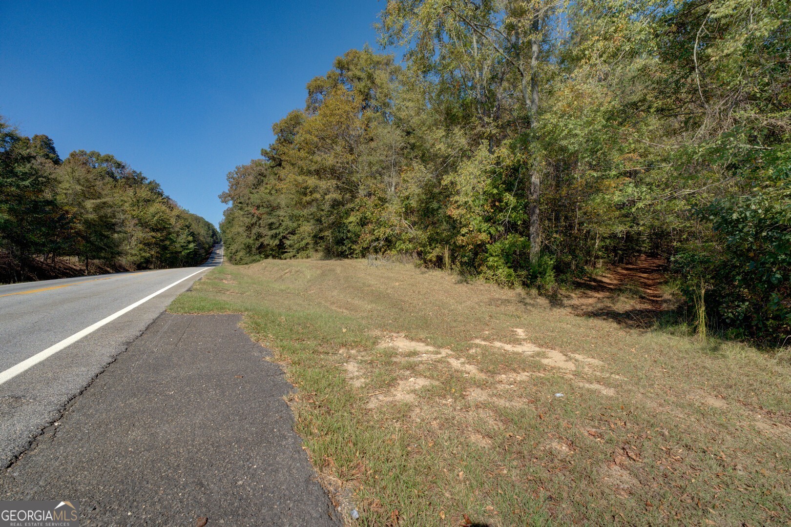0 Ga Highway 142 # A Property Photo 27