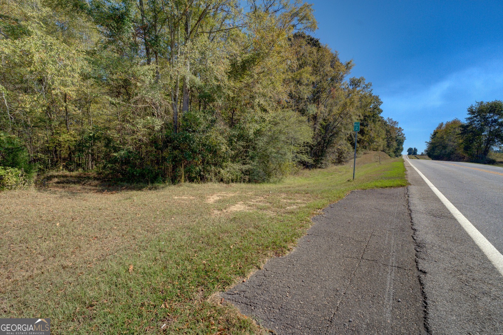 0 Ga Highway 142 # A Property Photo 28