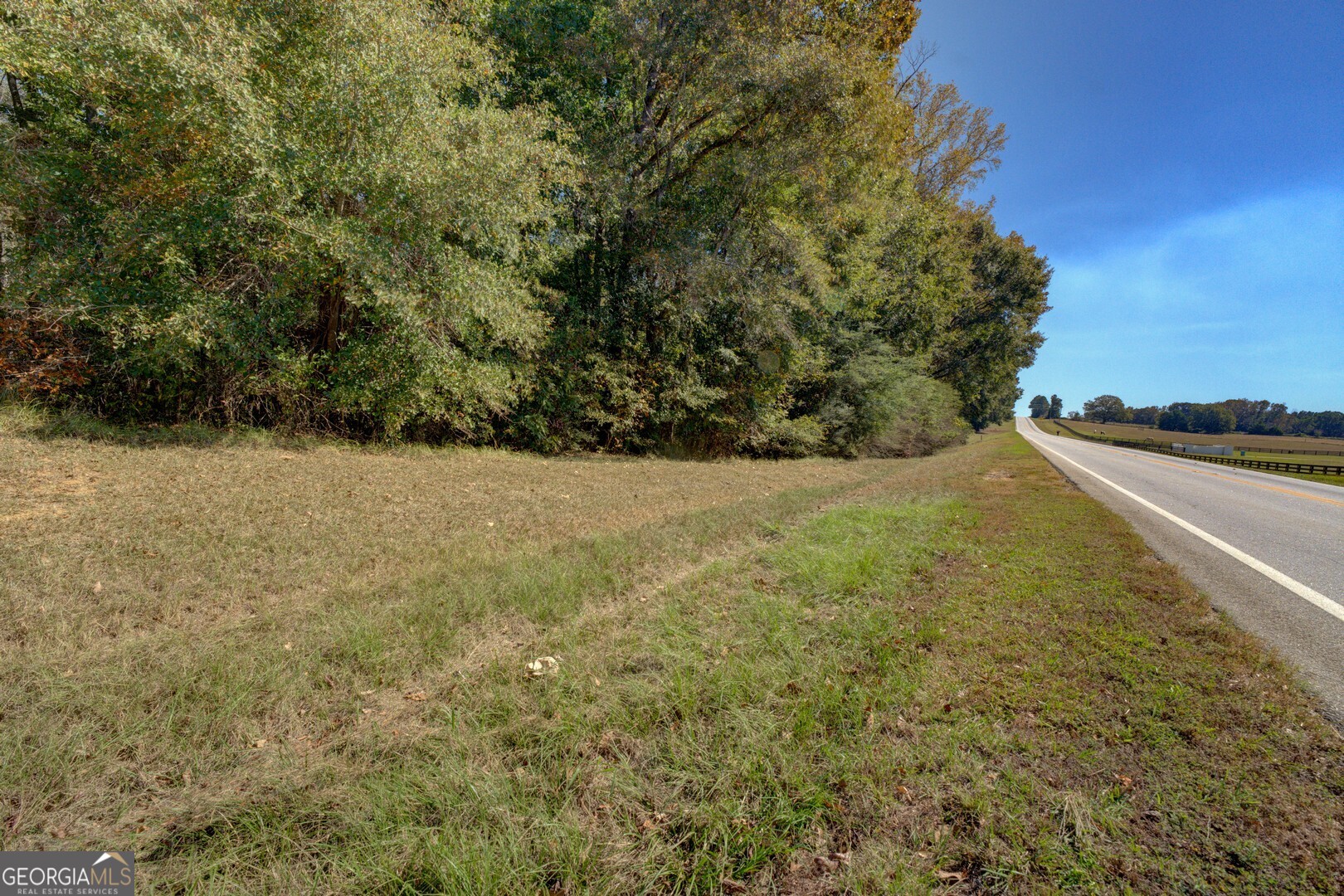 0 Ga Highway 142 # A Property Photo 29