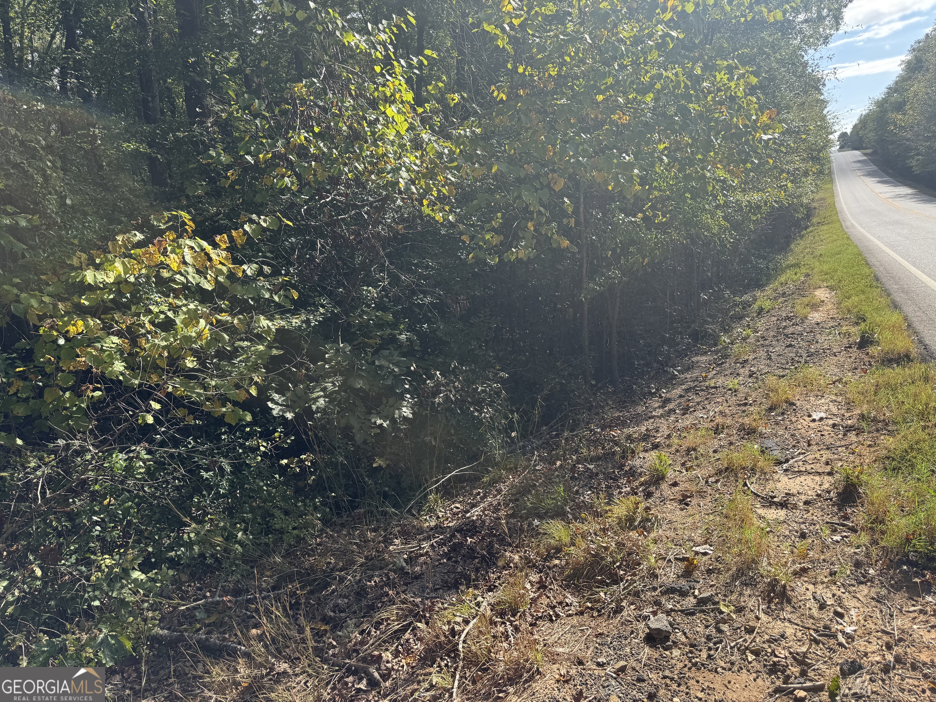 0 Ga Highway 142 # A Property Photo 30