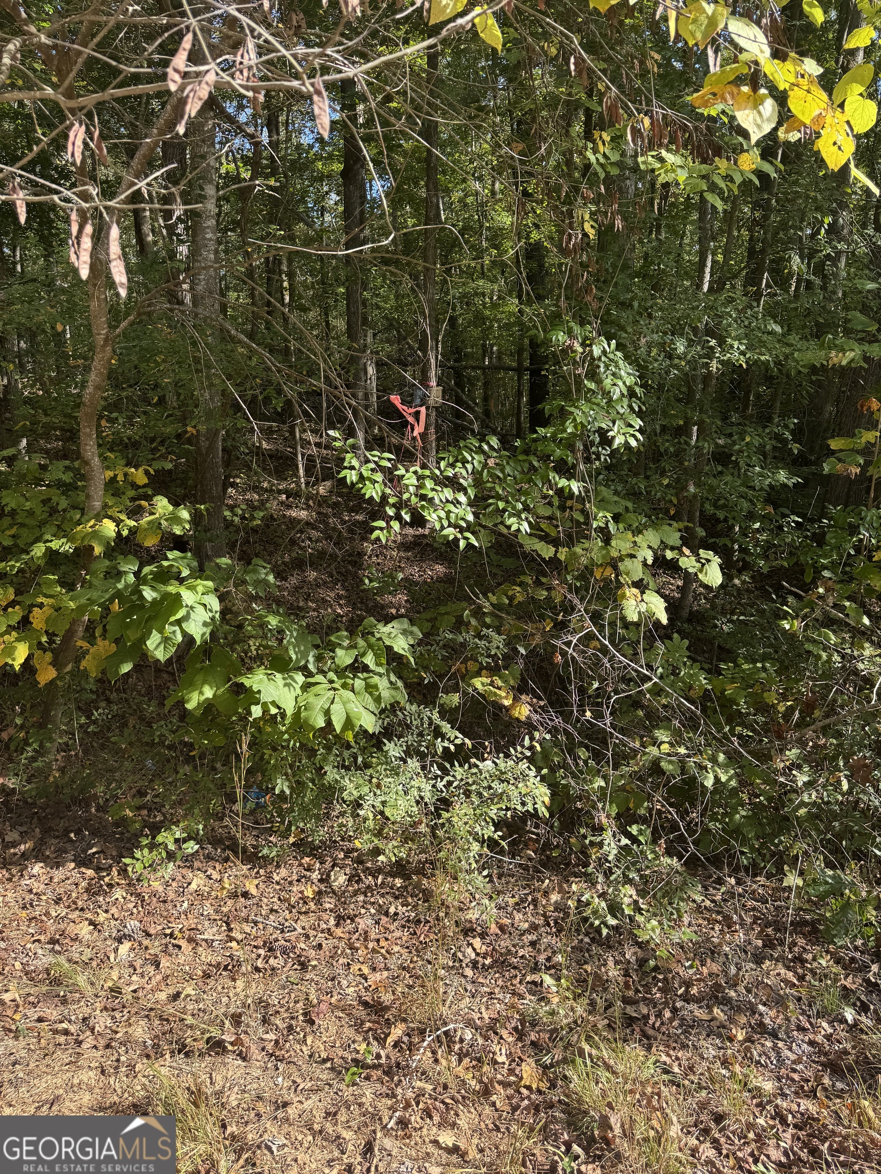 0 Ga Highway 142 # A Property Photo 31