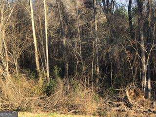 0 Hwy 135 Property Photo 1