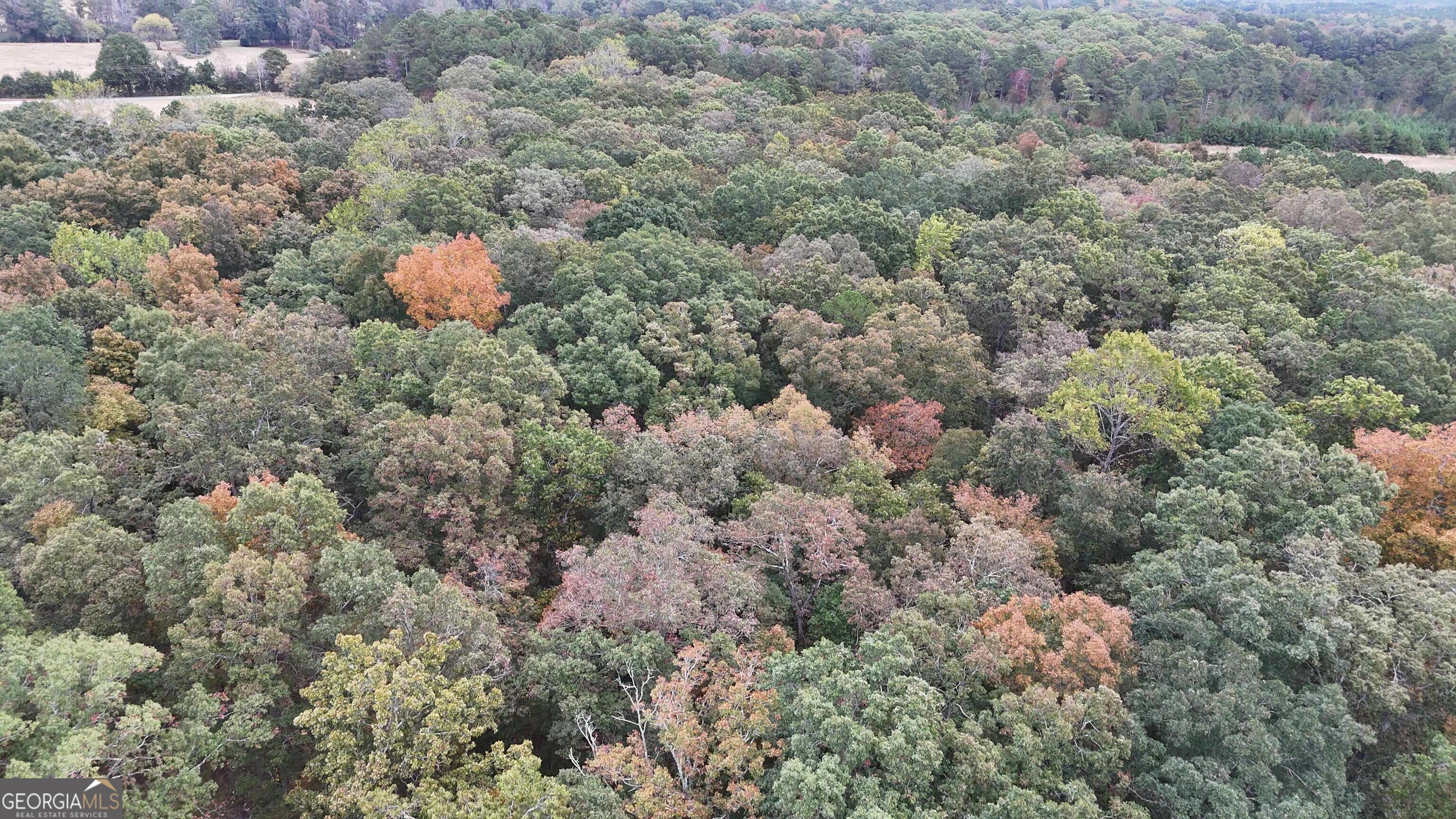 12895 Hwy 36 Property Photo 4