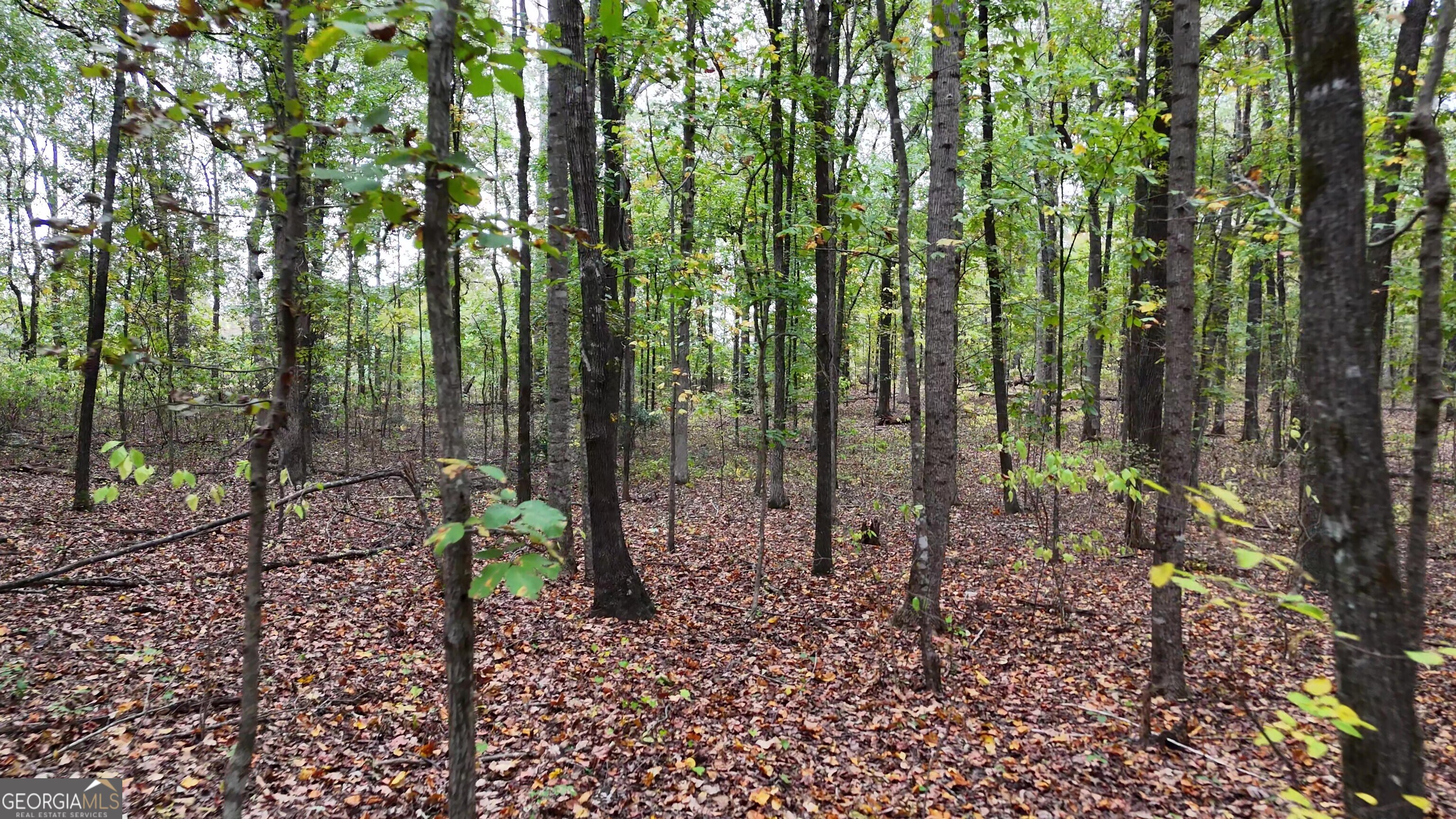 12895 Hwy 36 Property Photo 8