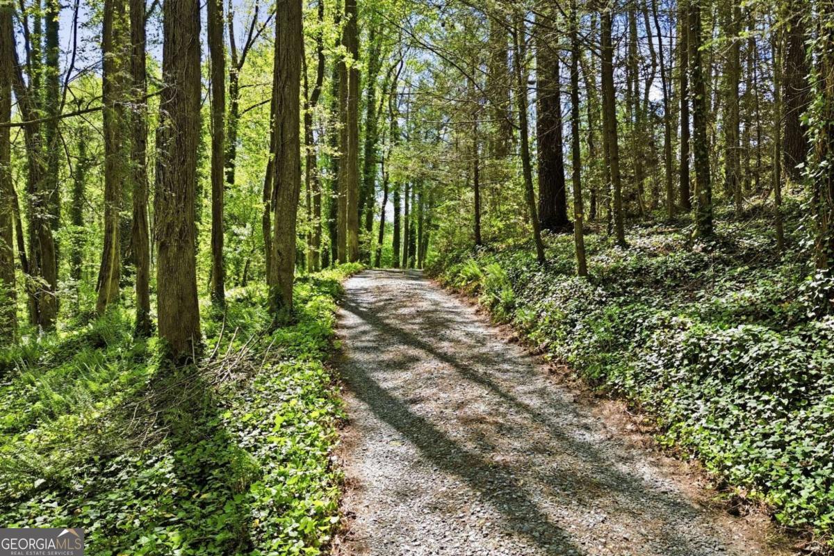 10758 Chatsworth Highway Property Photo 36