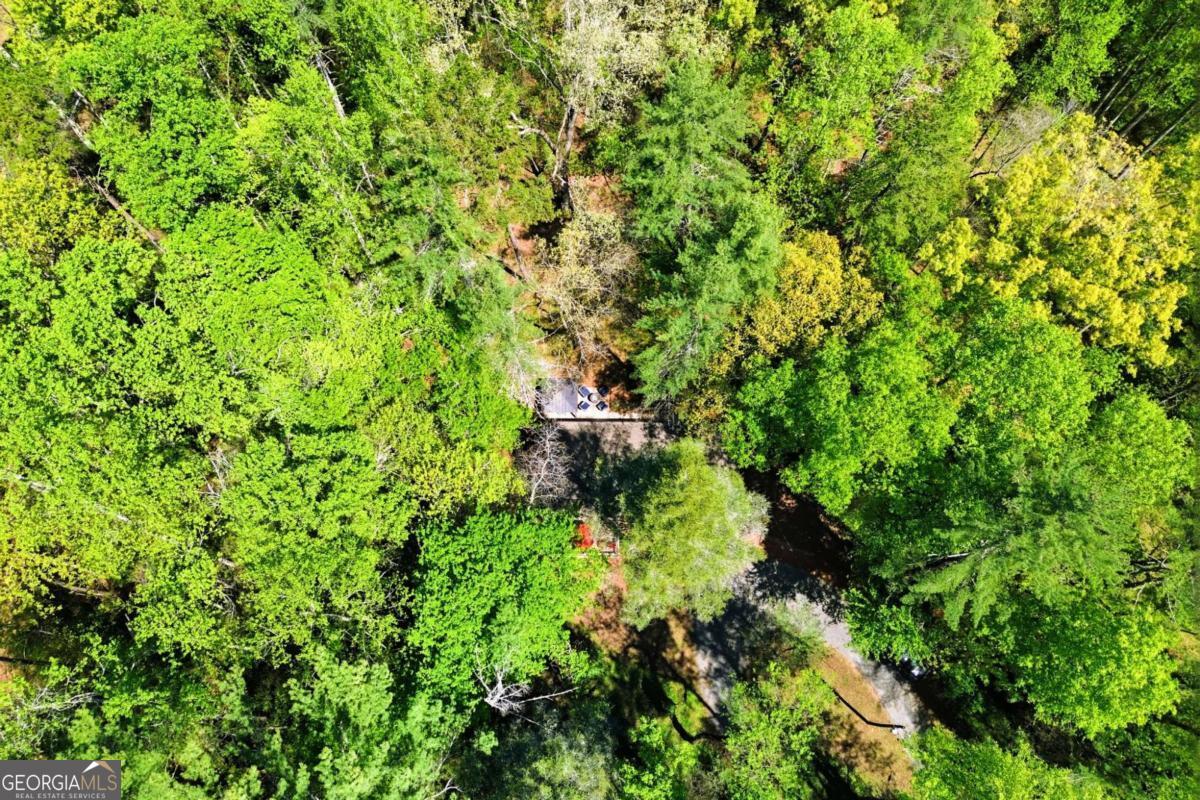10758 Chatsworth Highway Property Photo 37