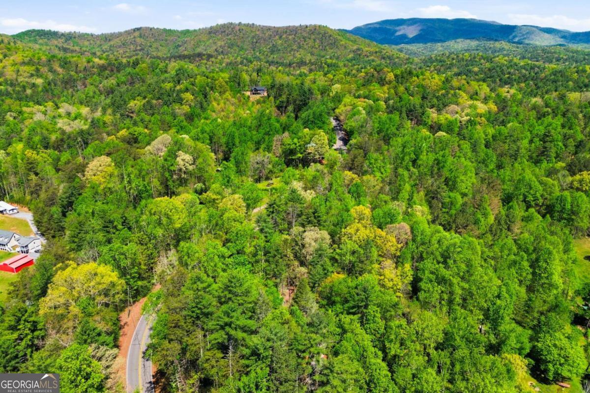 10758 Chatsworth Highway Property Photo 38