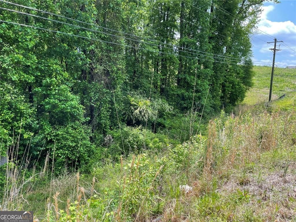 0 Hwy 27 N Property Photo 3