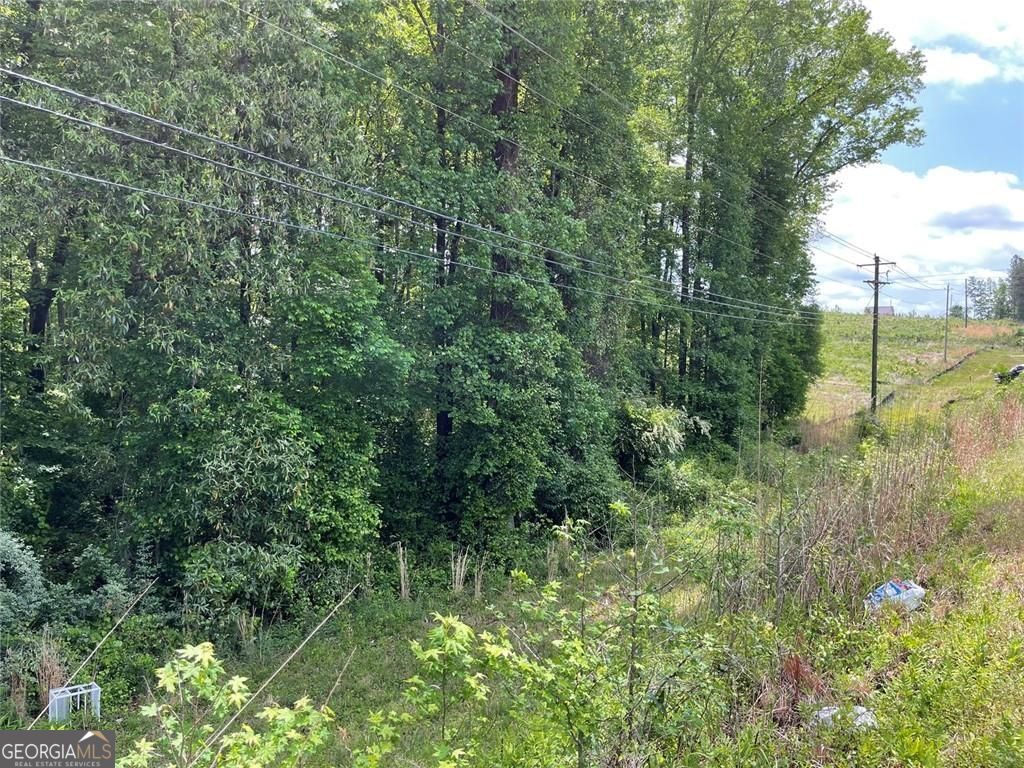 0 Hwy 27 N Property Photo 4