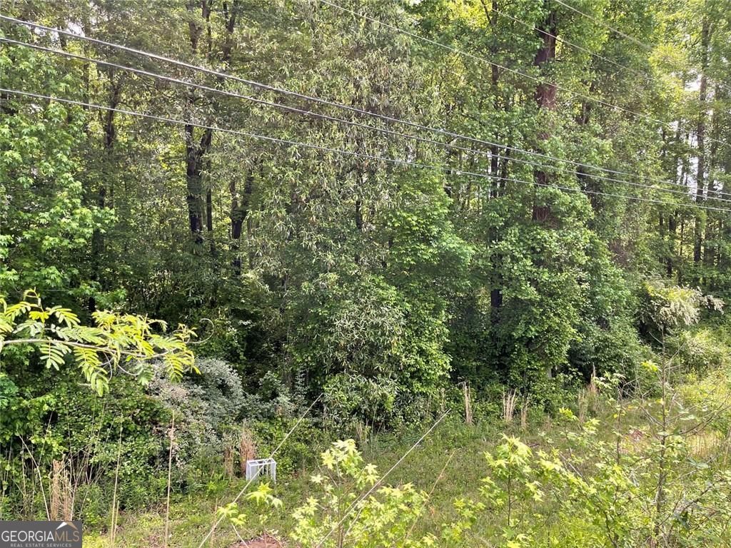 0 Hwy 27 N Property Photo 5
