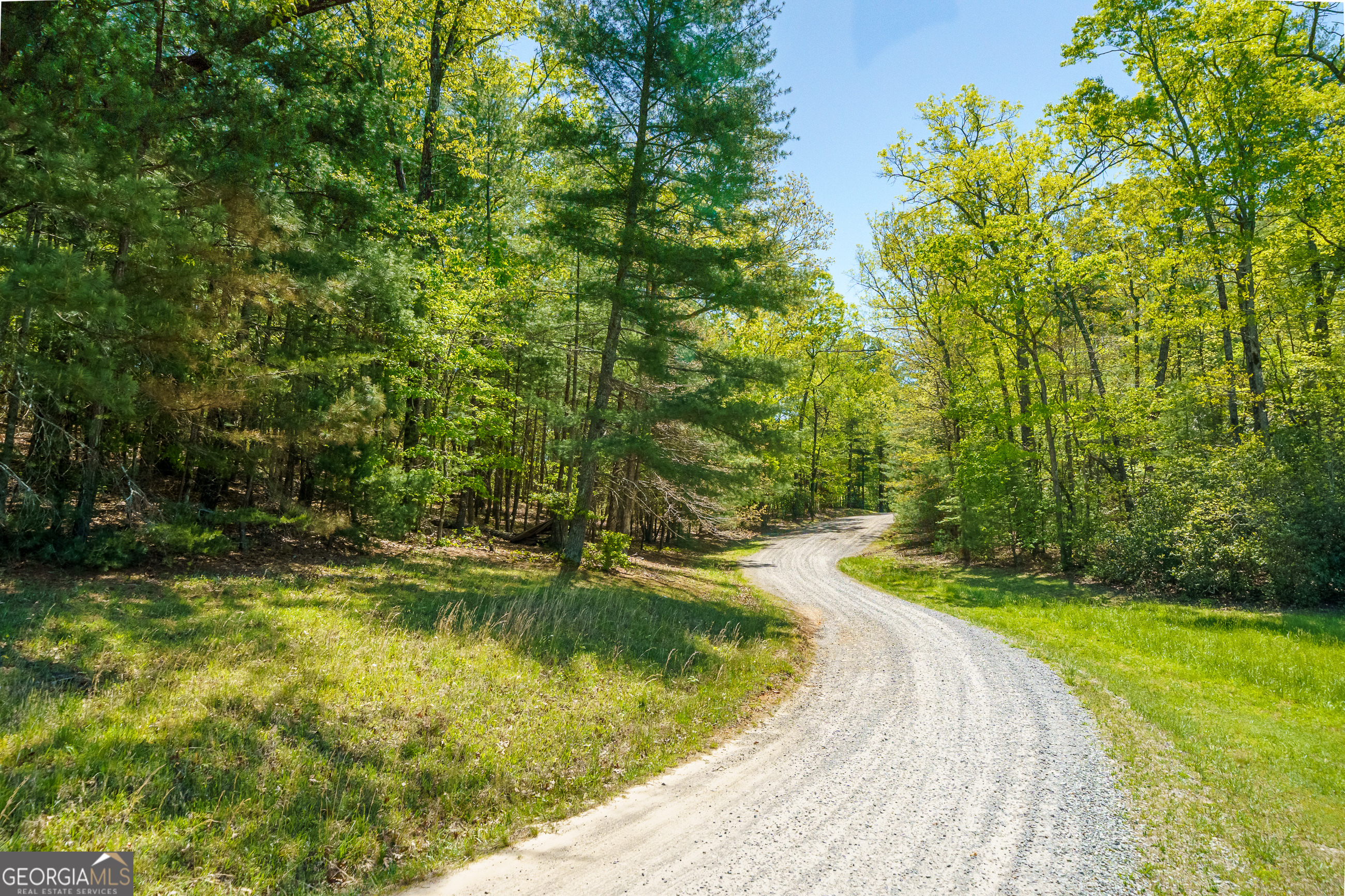 LOT 35 Spring Camp Road Property Photo 1
