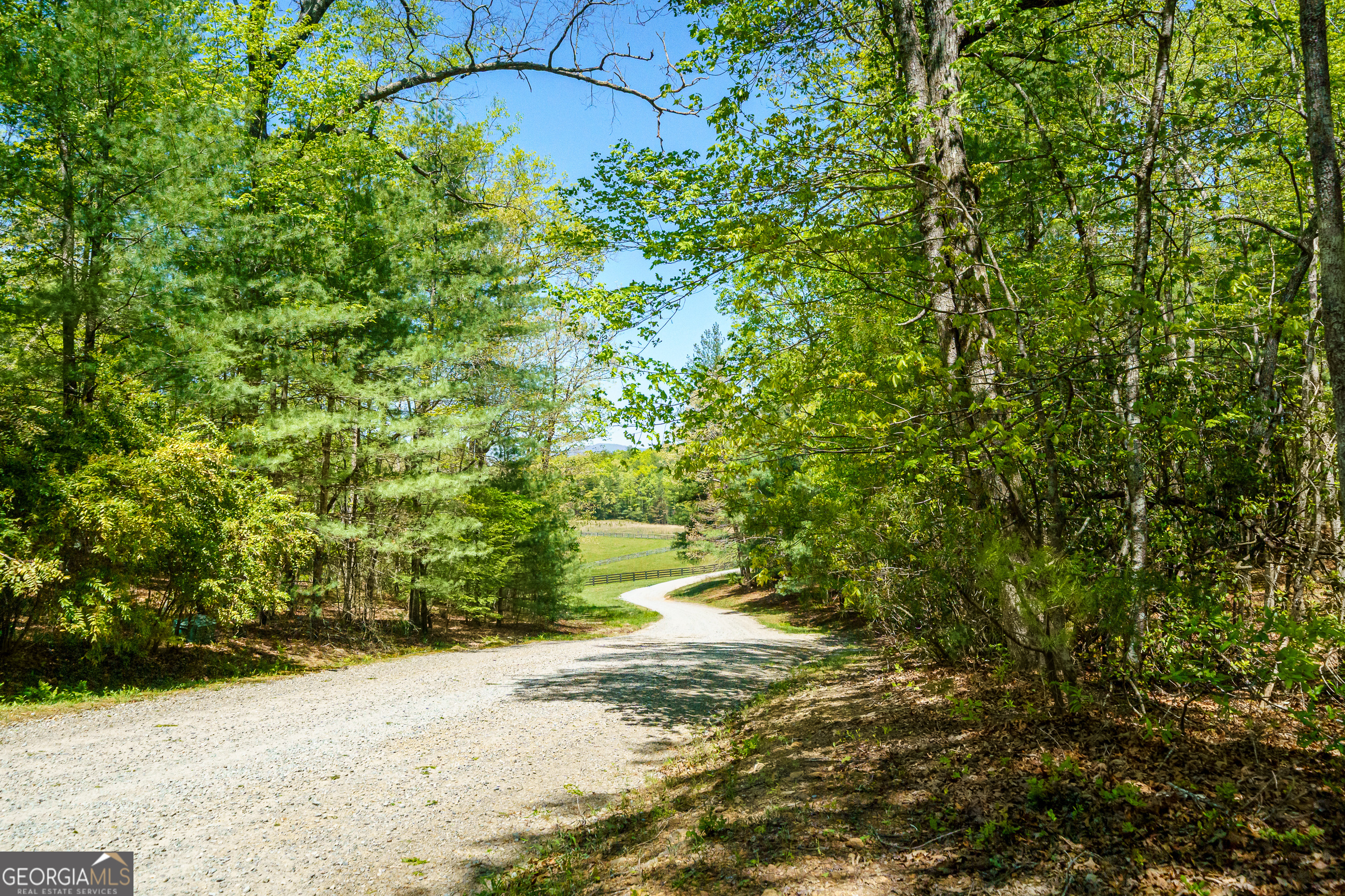 Lot 35 Spring Camp Road Property Photo 2