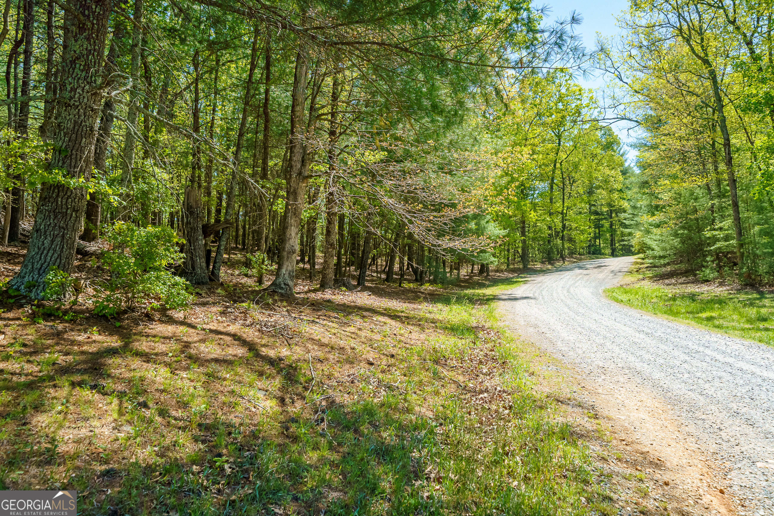 Lot 35 Spring Camp Road Property Photo 4