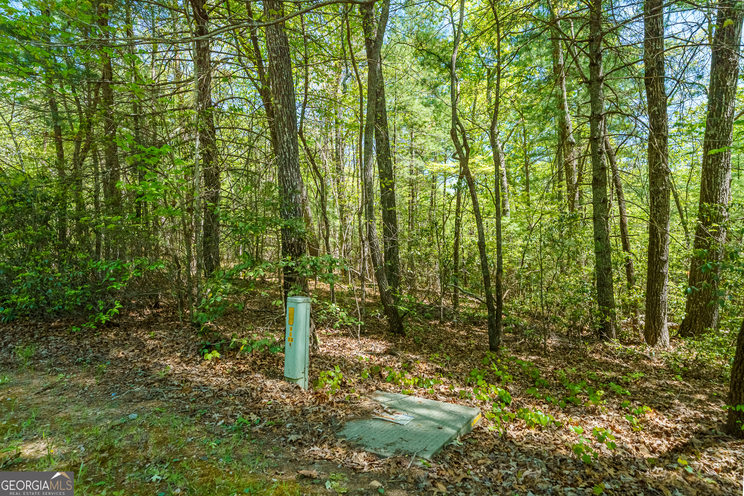 Lot 35 Spring Camp Road Property Photo 5