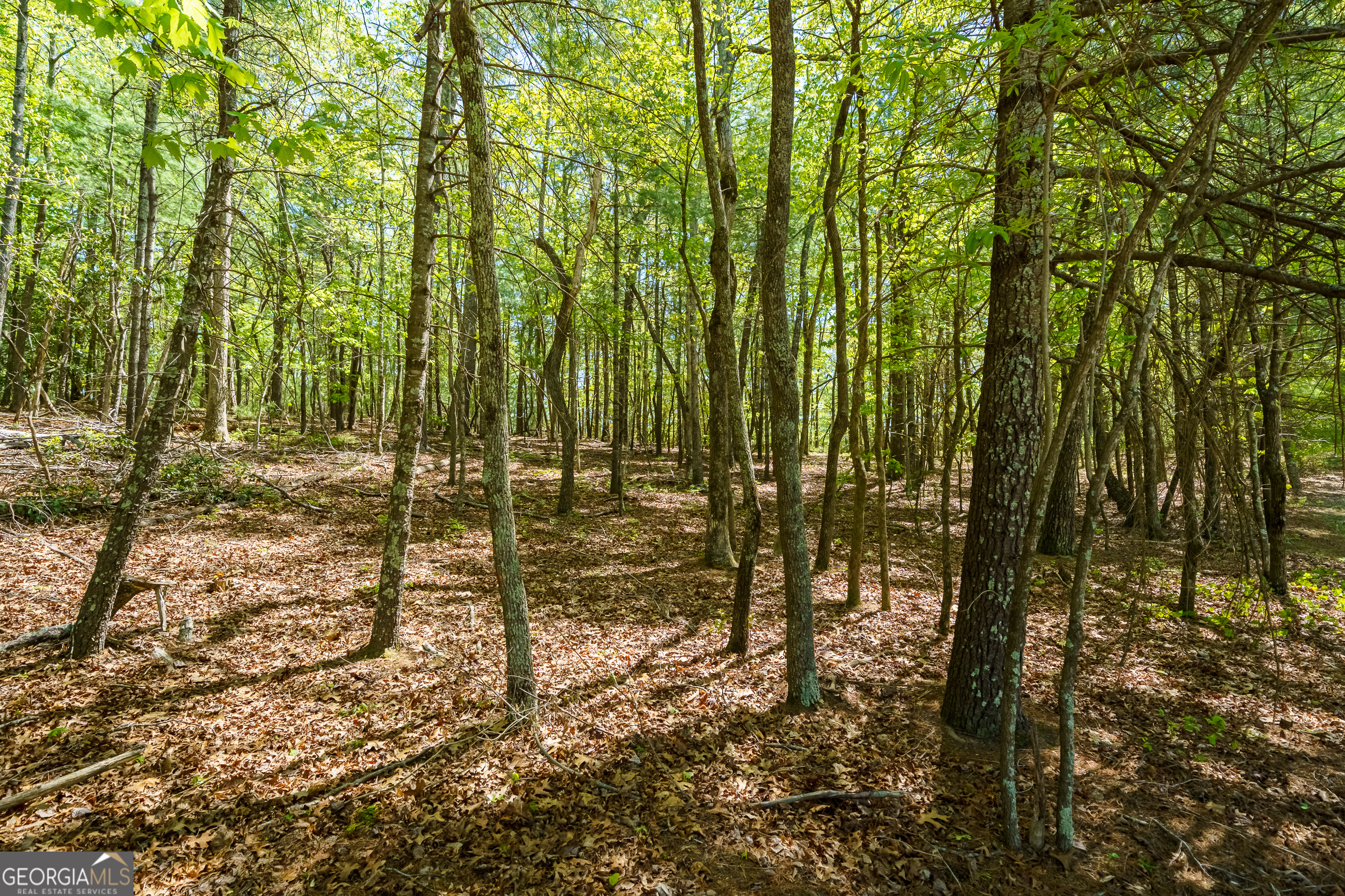 Lot 35 Spring Camp Road Property Photo 6