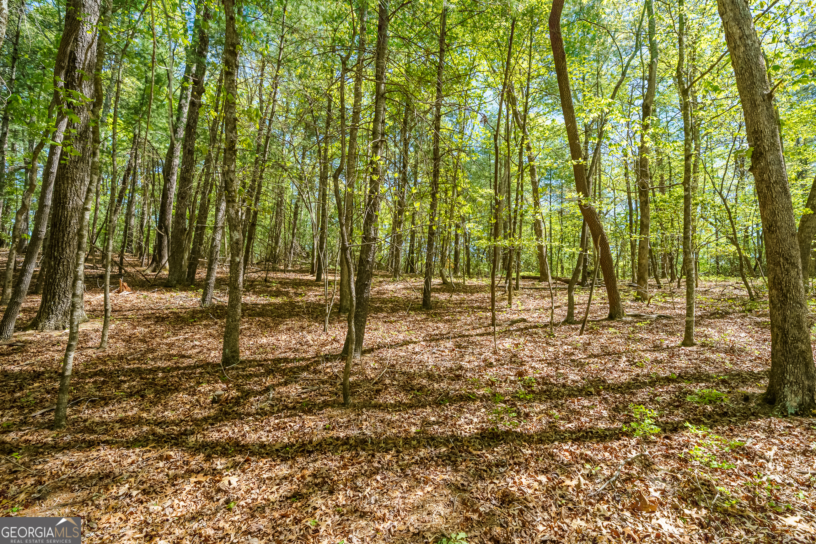 Lot 35 Spring Camp Road Property Photo 7