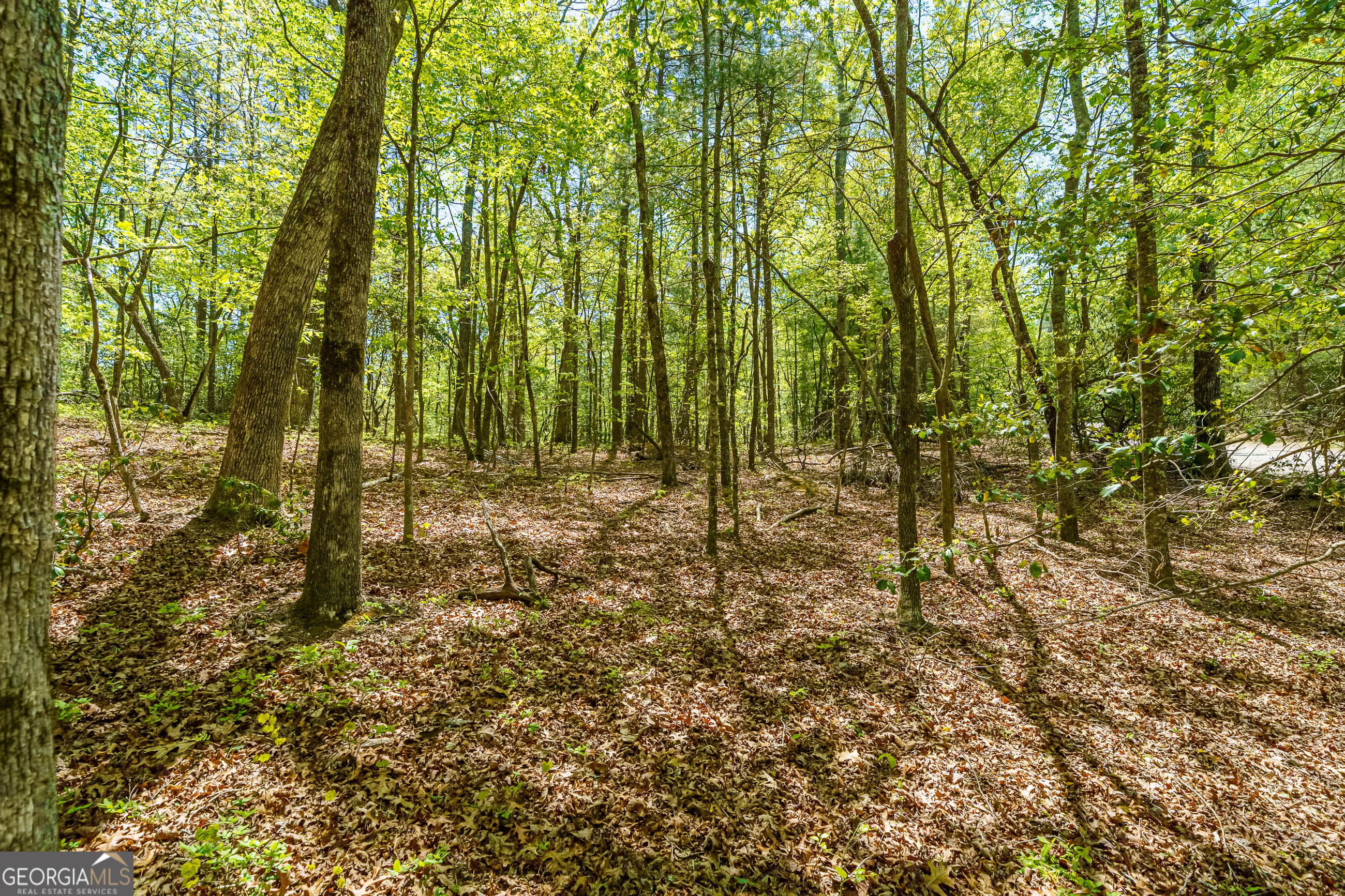 Lot 35 Spring Camp Road Property Photo 8