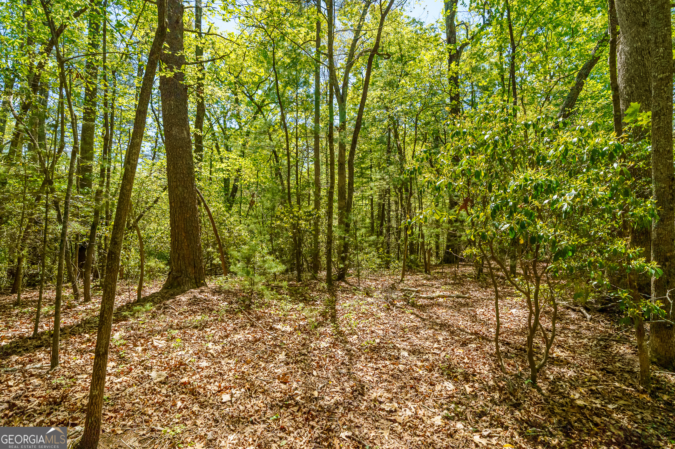 Lot 35 Spring Camp Road Property Photo 9