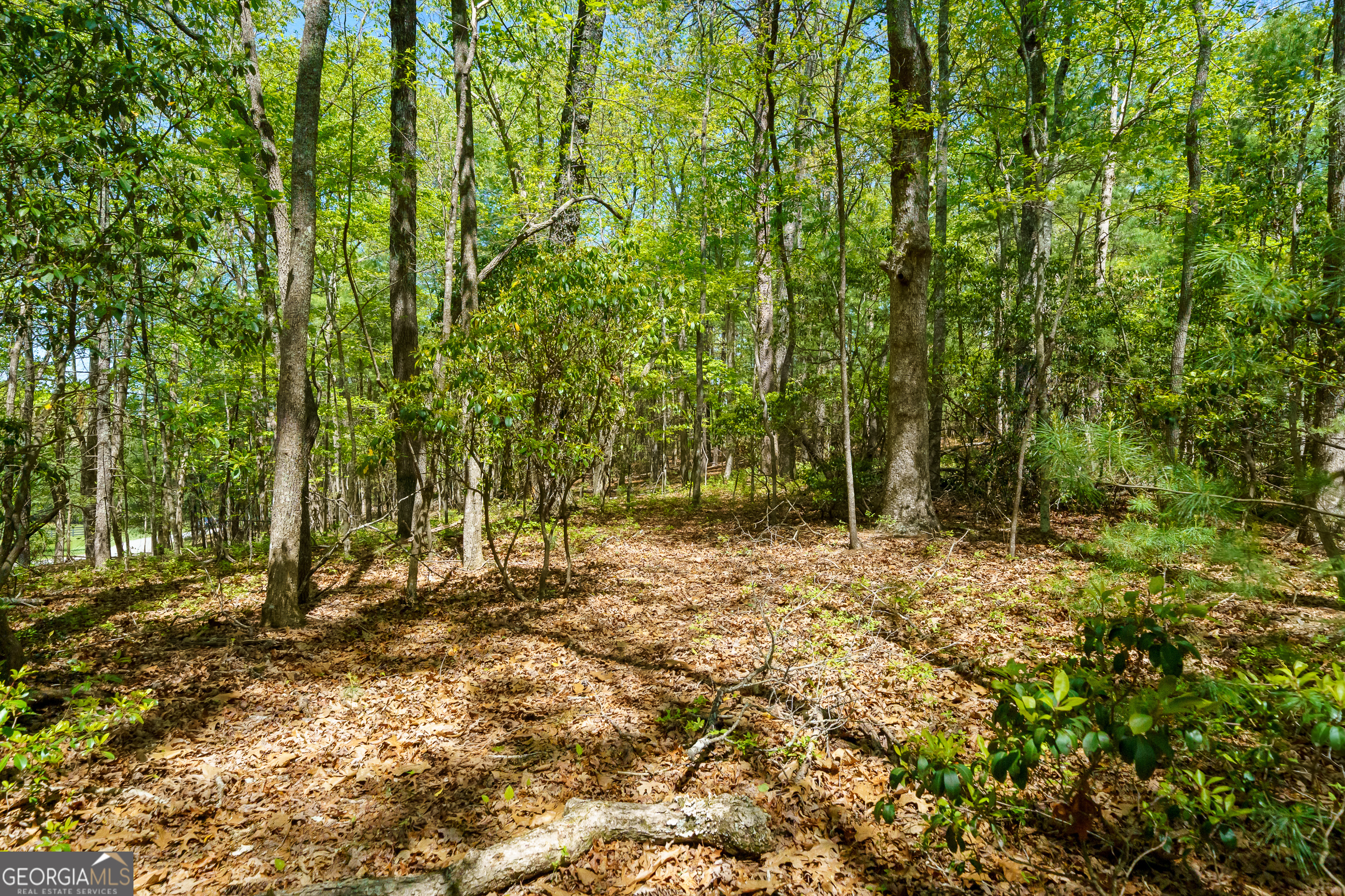 Lot 35 Spring Camp Road Property Photo 10