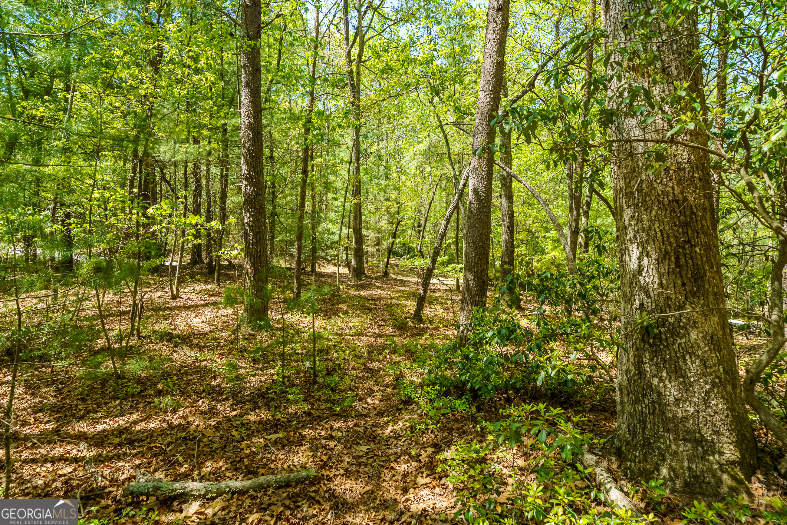 Lot 35 Spring Camp Road Property Photo 11