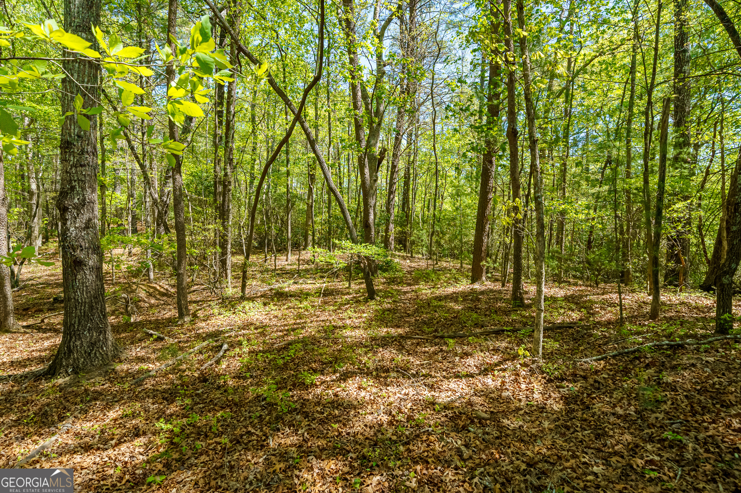 Lot 35 Spring Camp Road Property Photo 12
