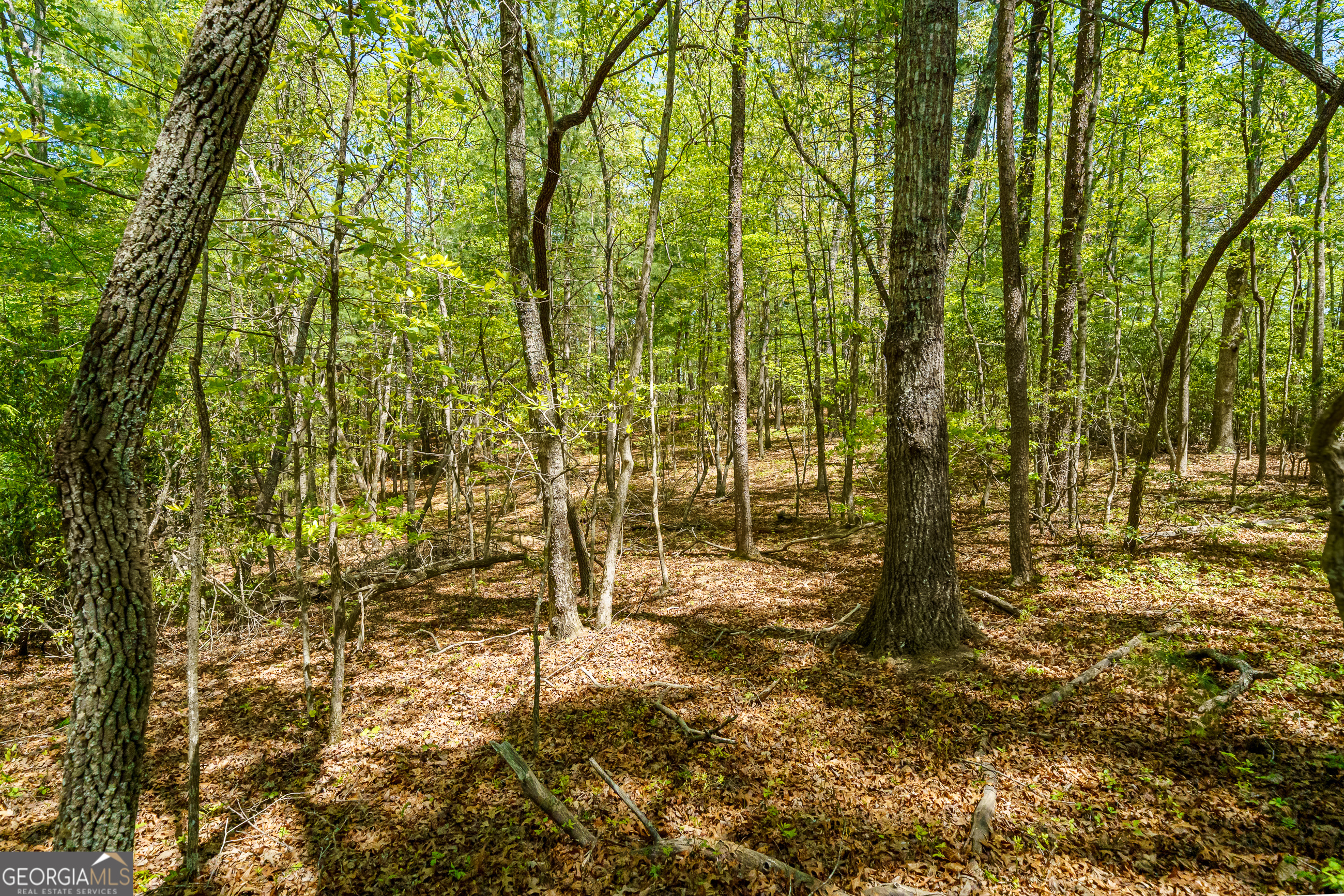 Lot 35 Spring Camp Road Property Photo 13
