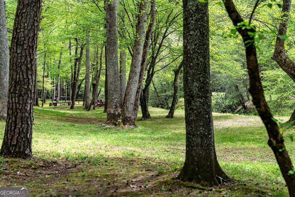 Lot 35 Spring Camp Road Property Photo 33