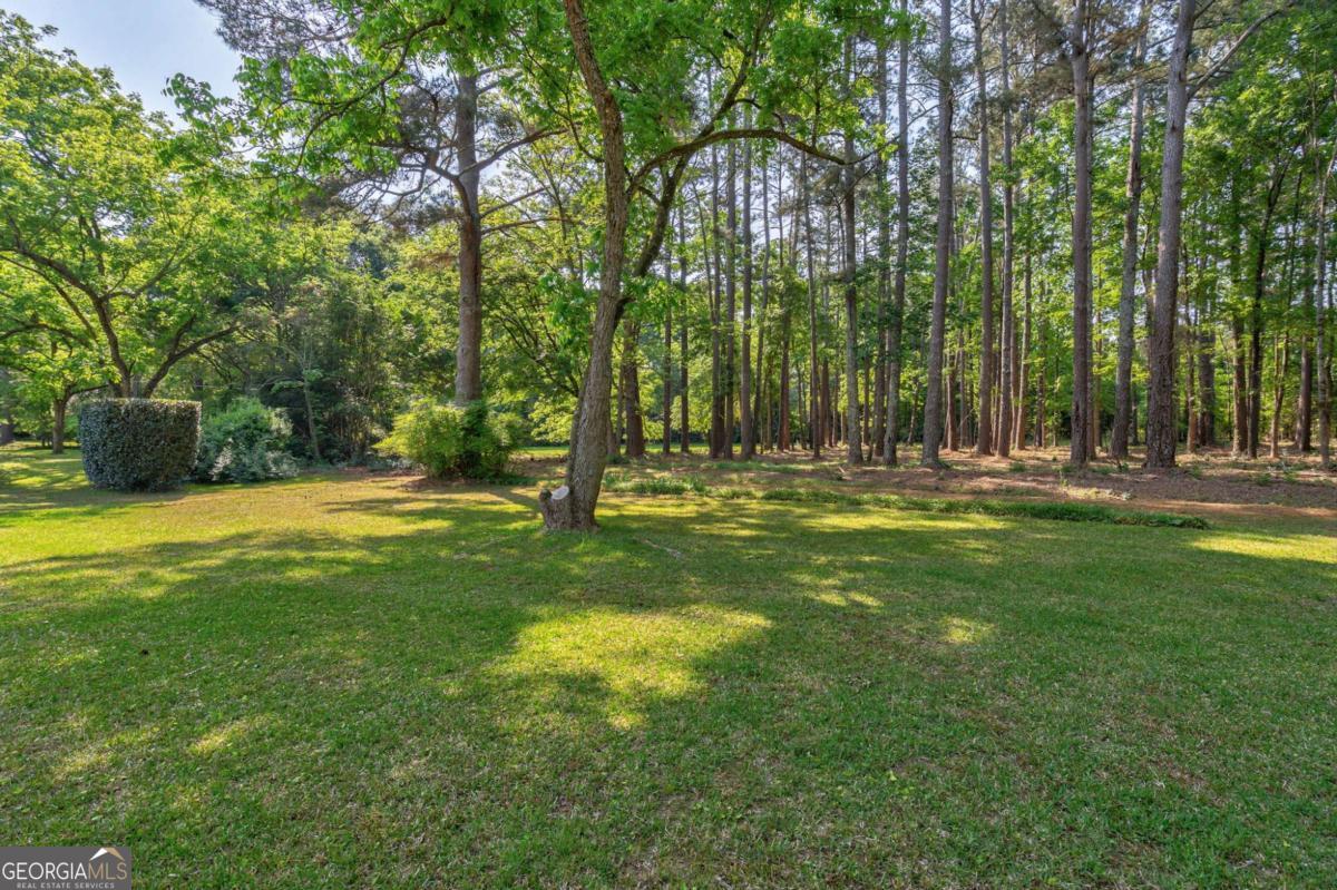 1310 Lincolnton Property Photo 26