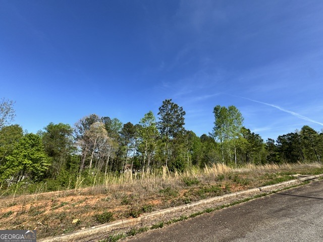 228 Oakdale Way Property Photo 6