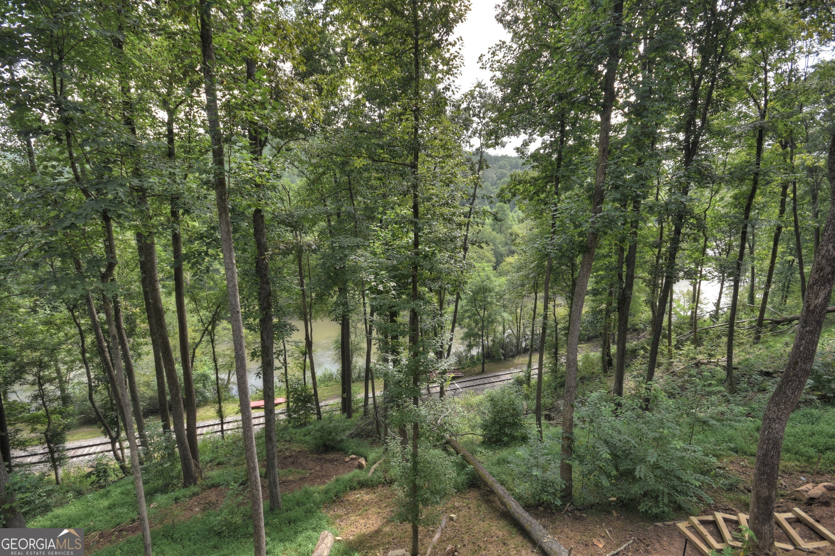 271 Toccoa Preserve Court Property Photo 5