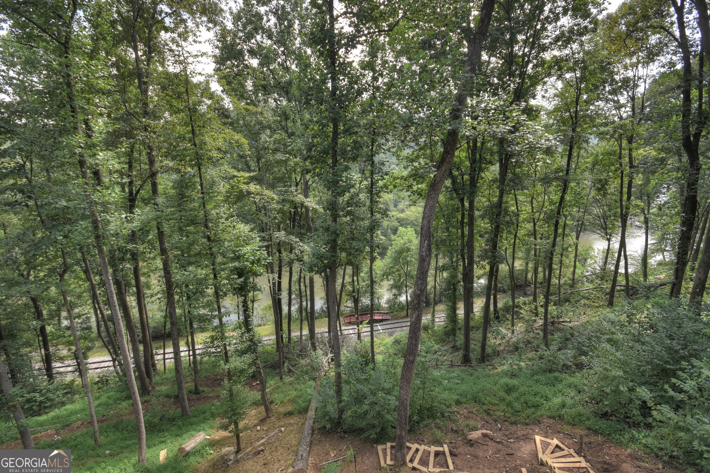 271 Toccoa Preserve Court Property Photo 20