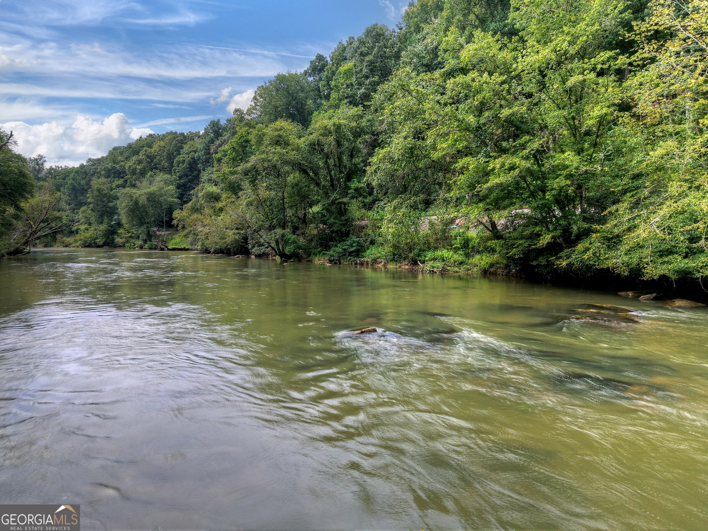 271 Toccoa Preserve Court Property Photo 47
