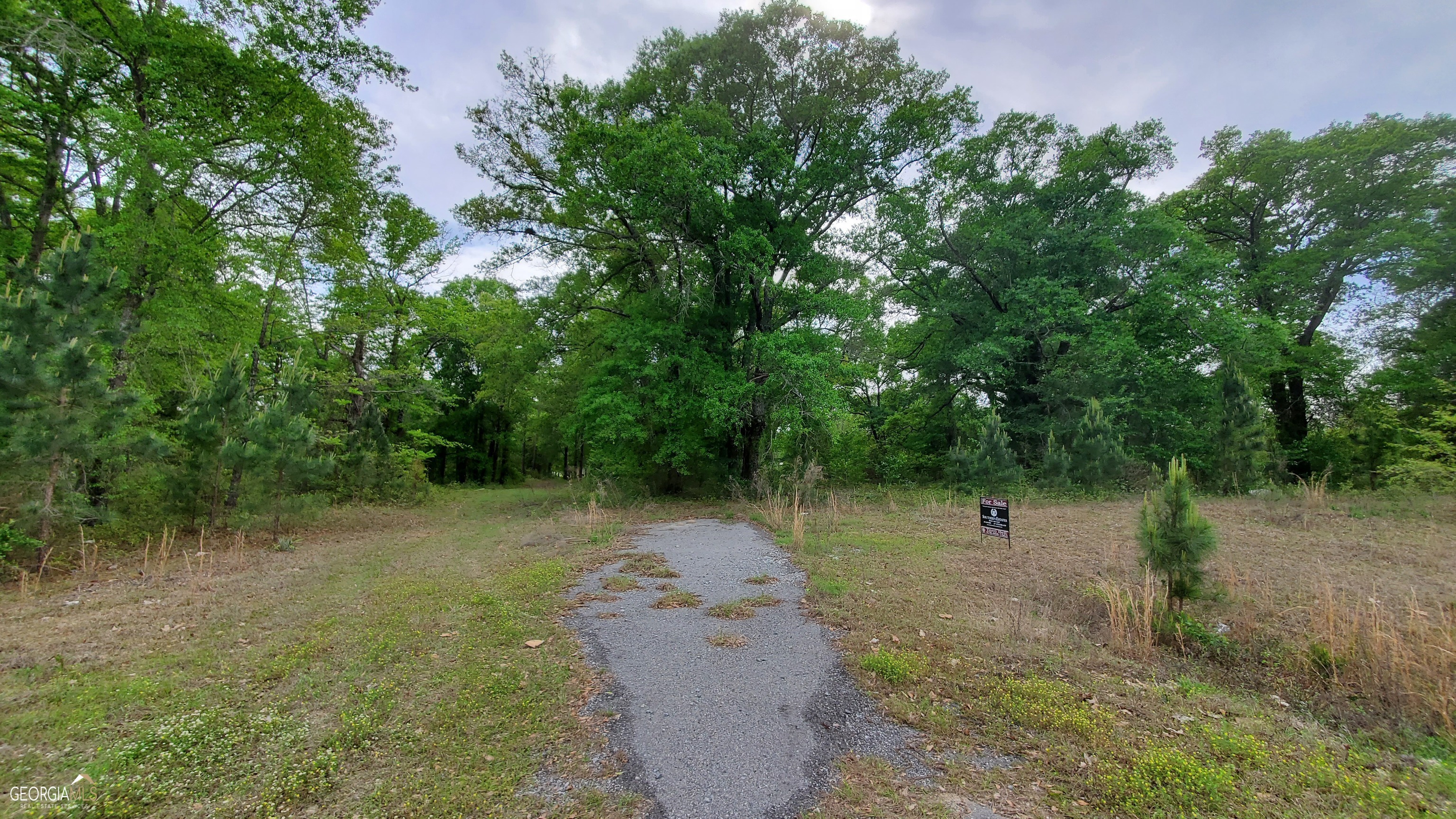 0 Meeks Road Property Photo 1