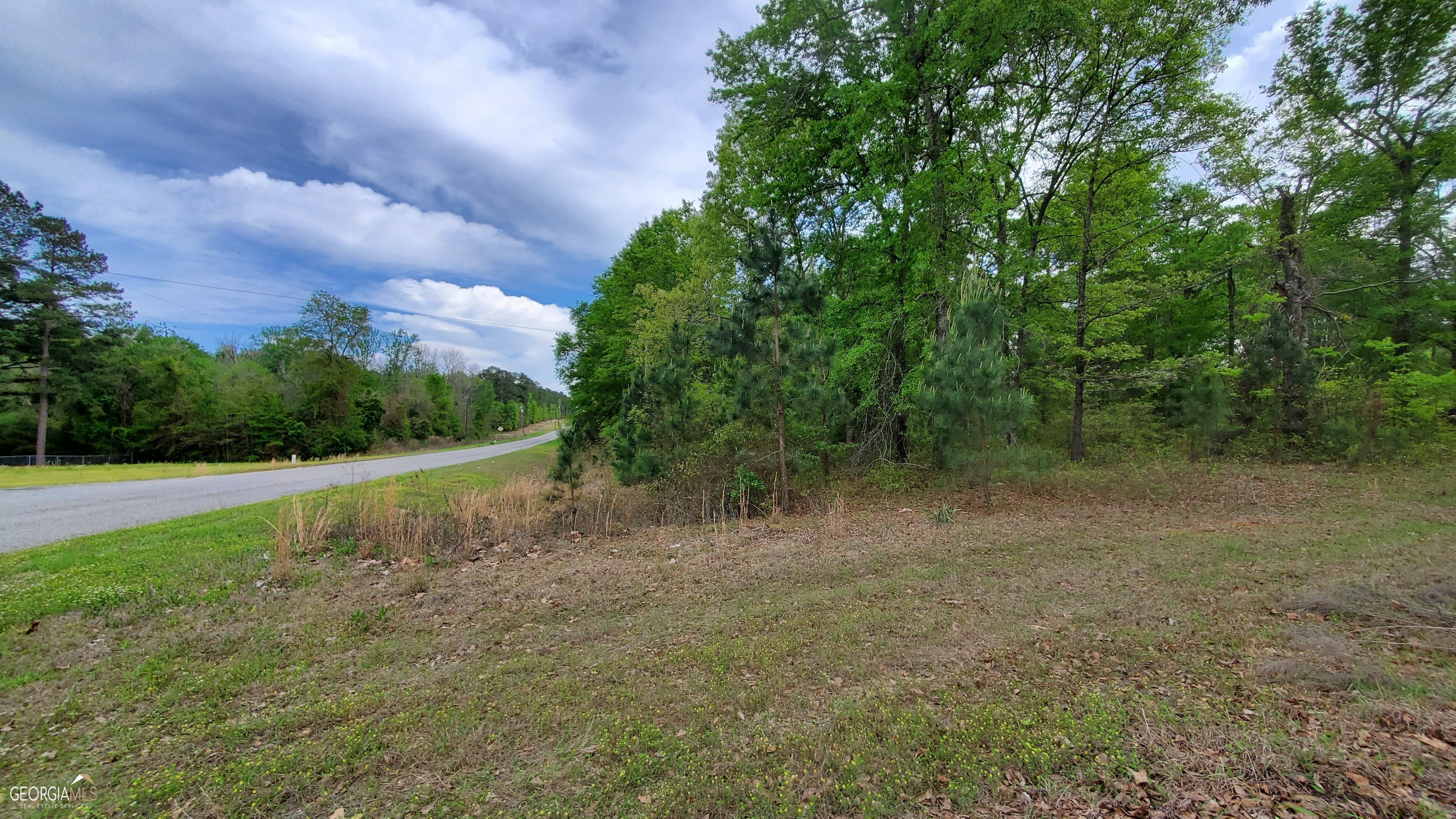 0 Meeks Road Property Photo 3