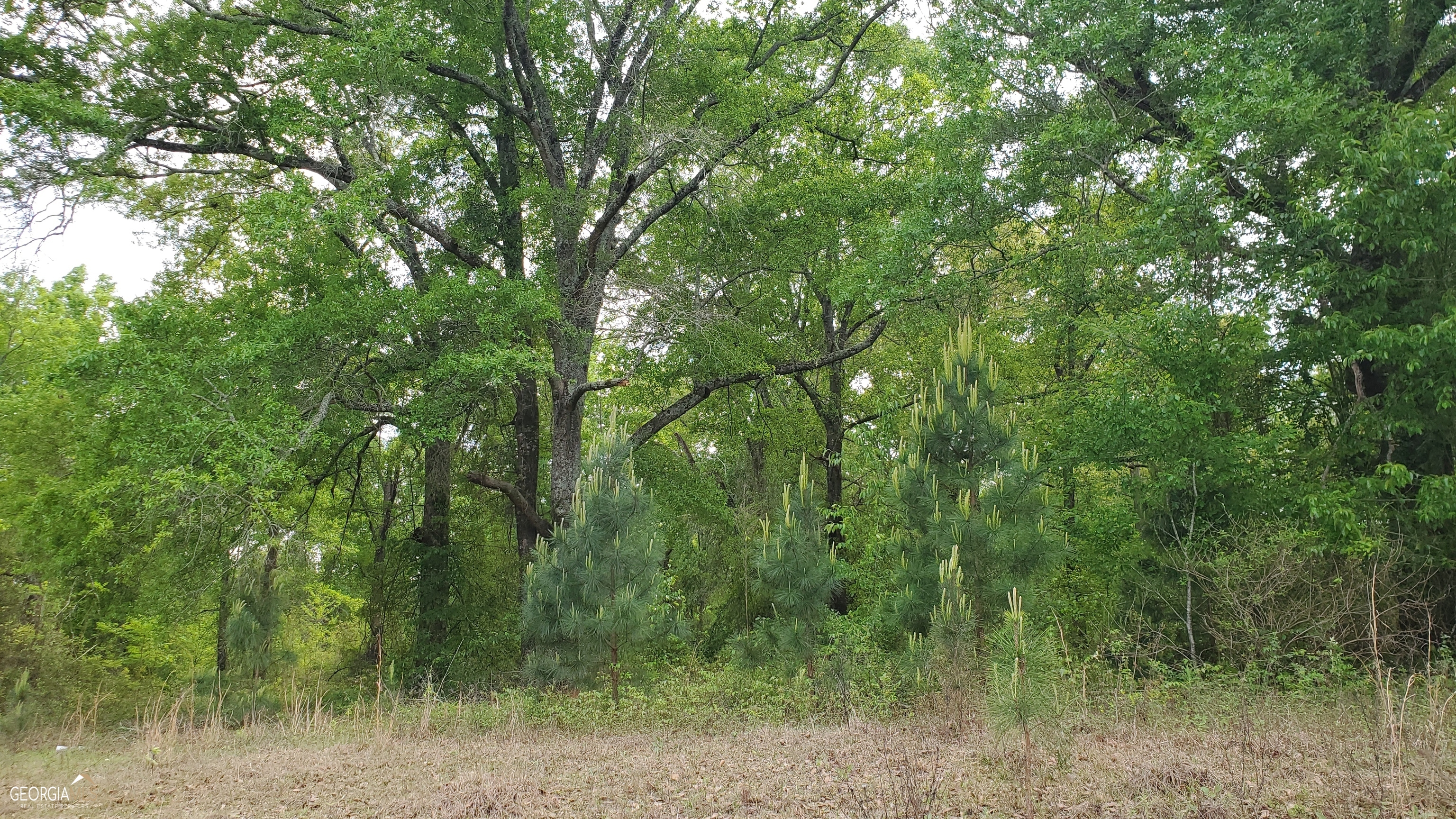 0 Meeks Road Property Photo 5