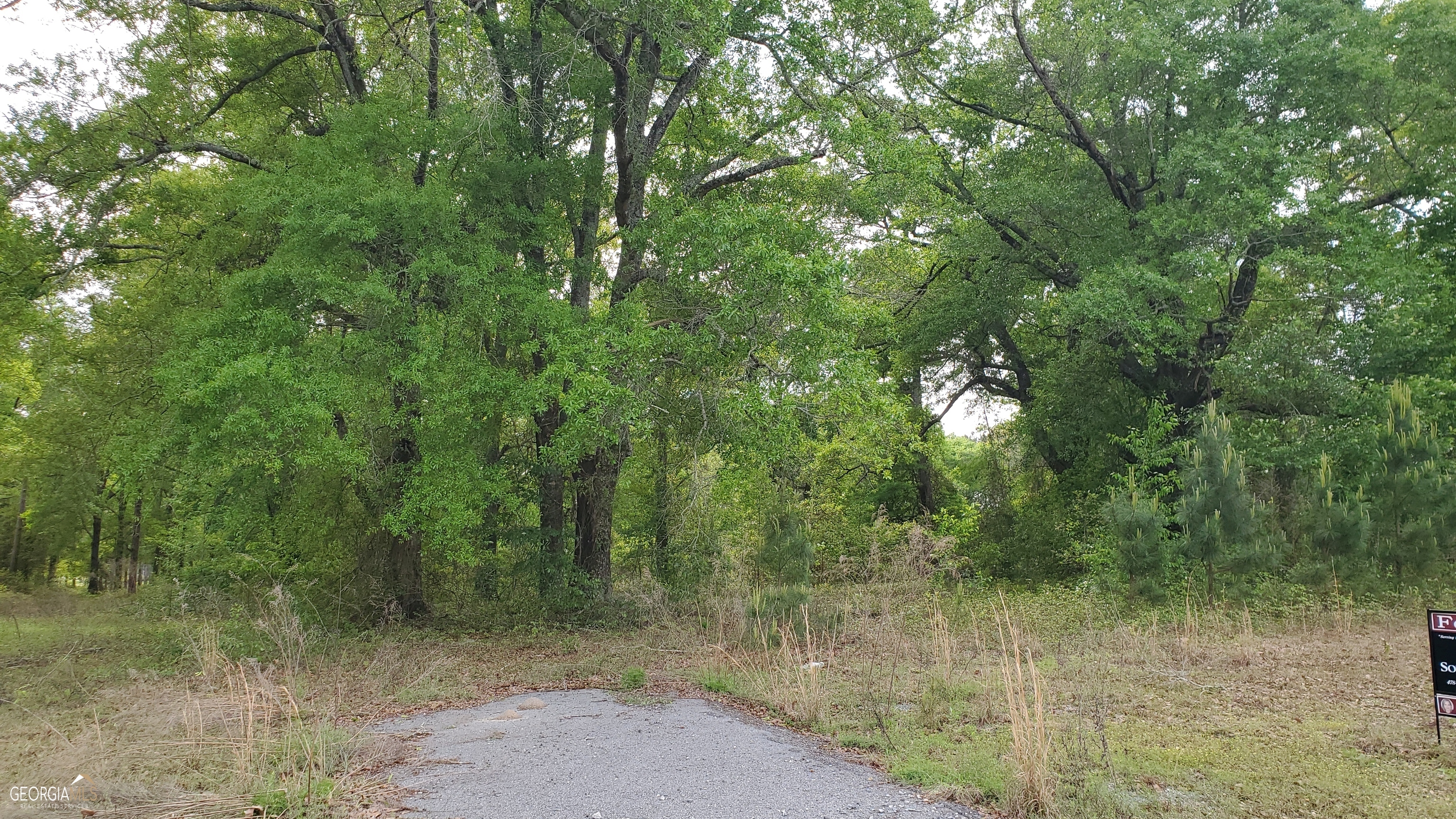 0 Meeks Road Property Photo 6