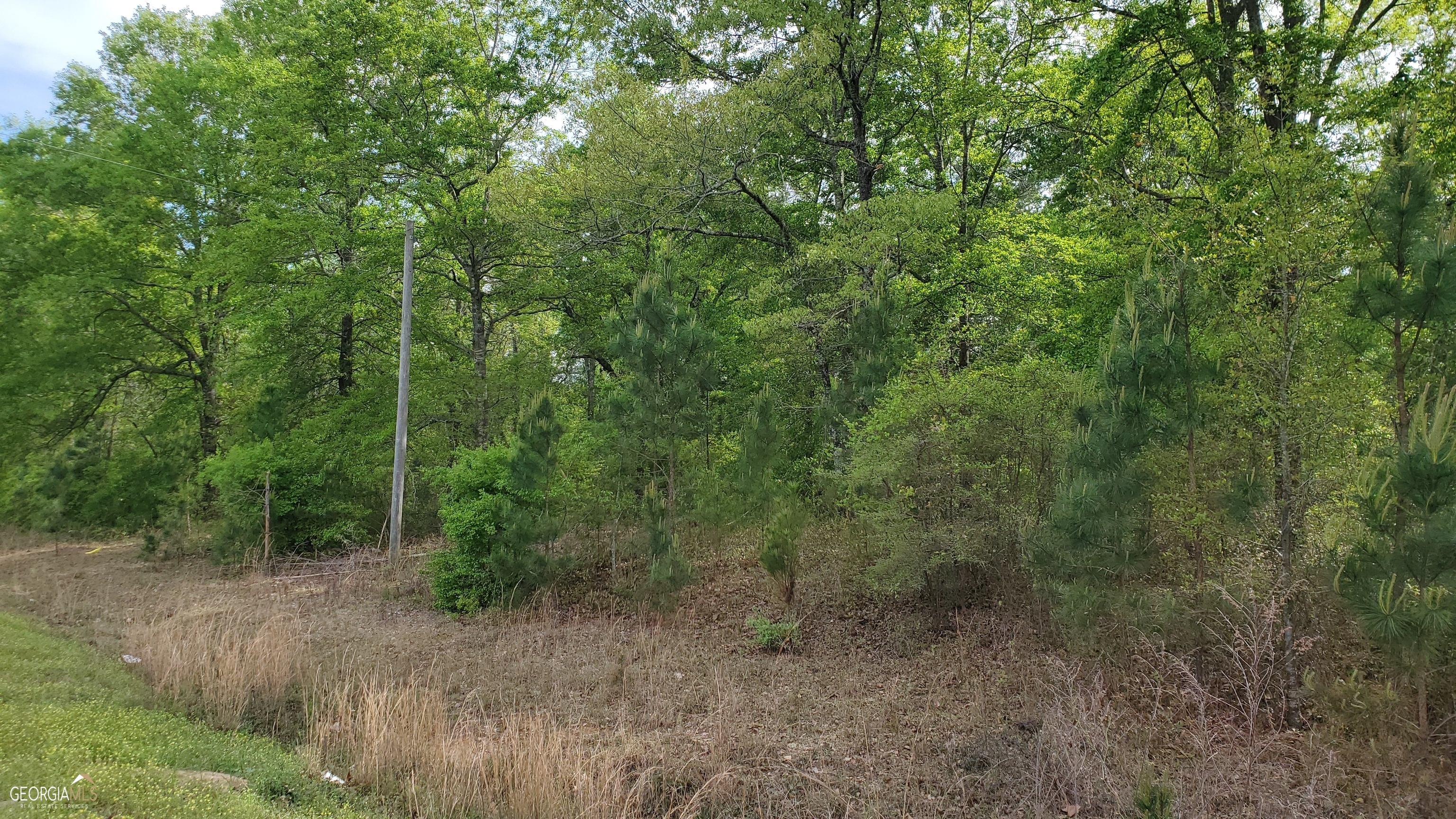 0 Meeks Road Property Photo 7