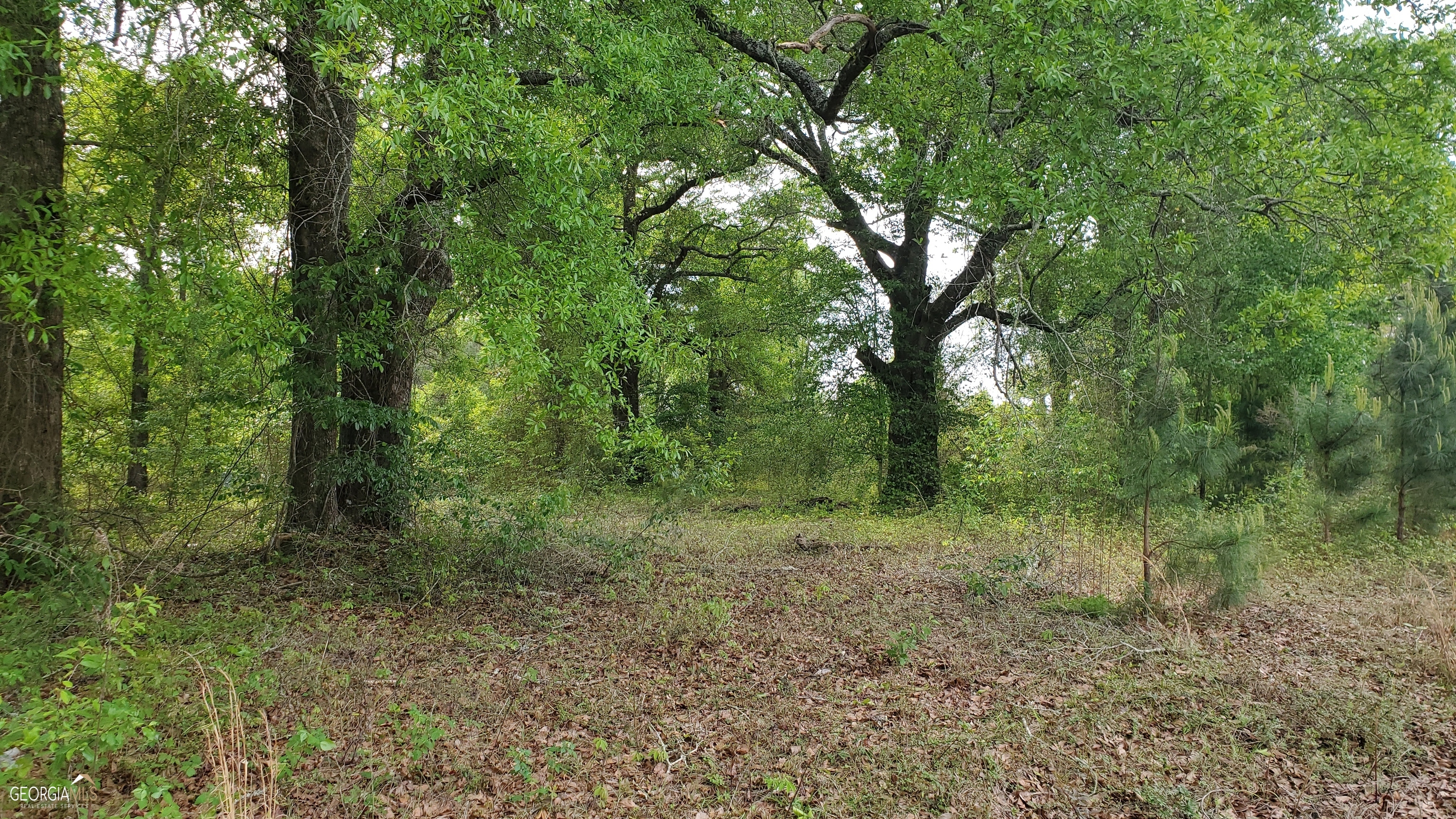 0 Meeks Road Property Photo 10