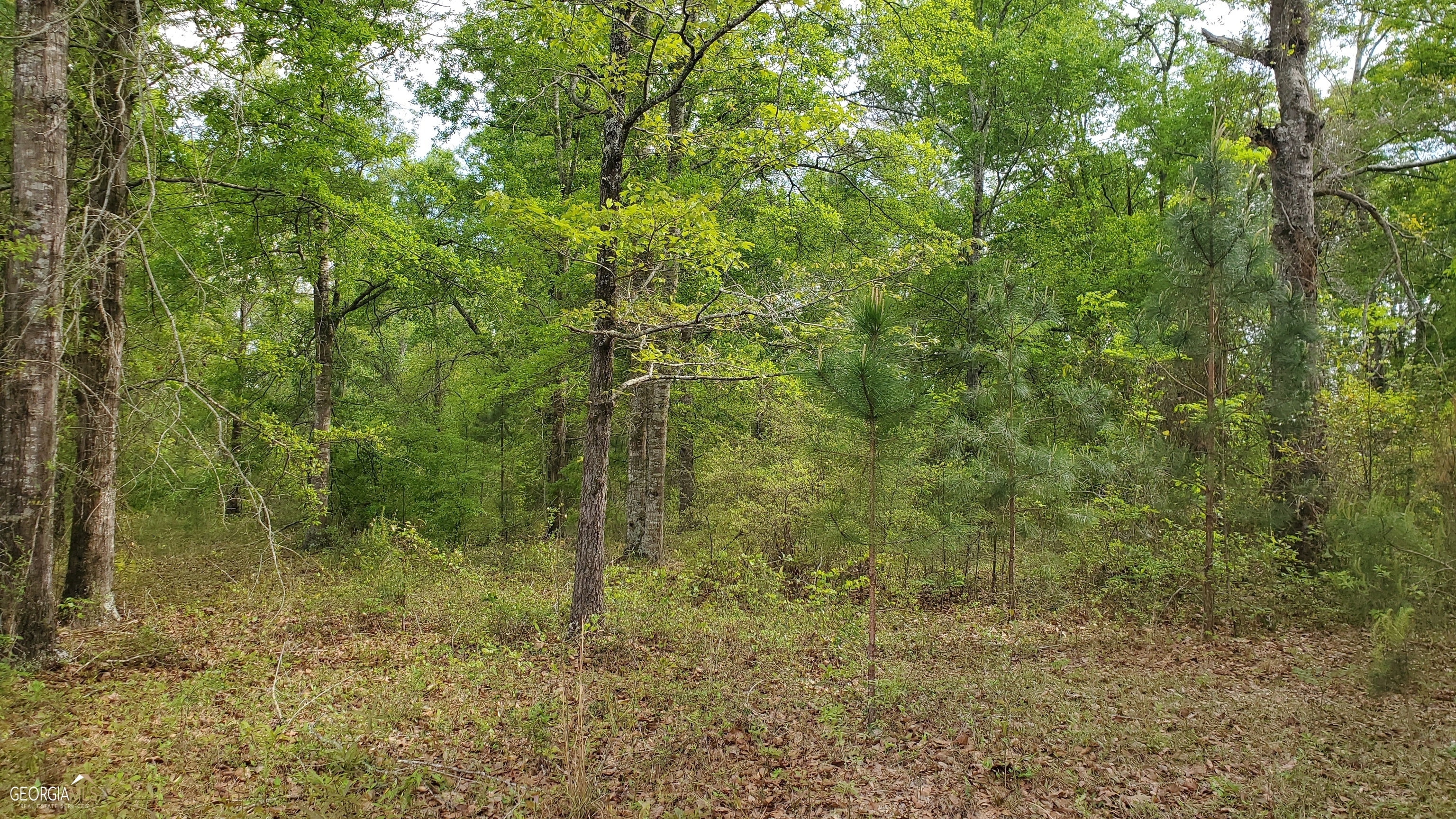 0 Meeks Road Property Photo 11