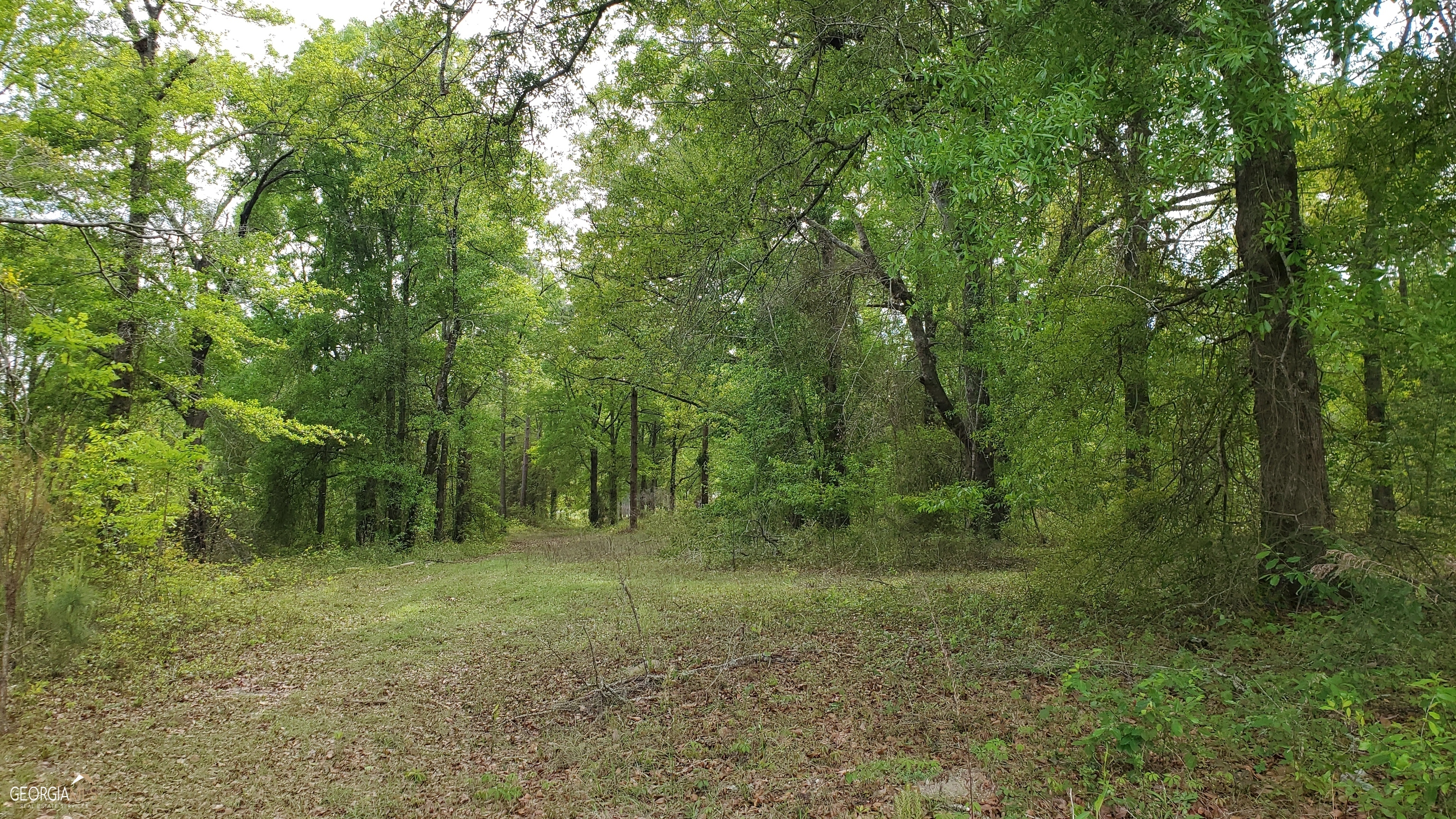 0 Meeks Road Property Photo 12