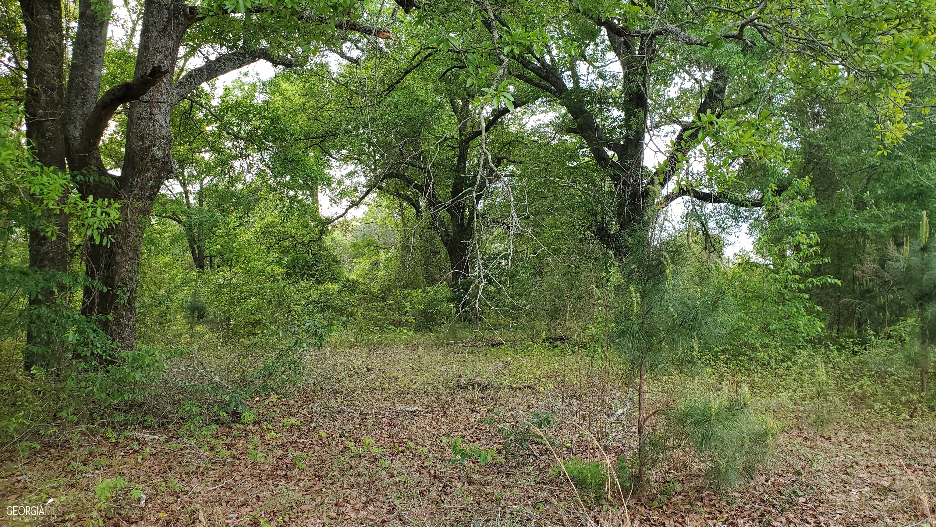 0 Meeks Road Property Photo 13