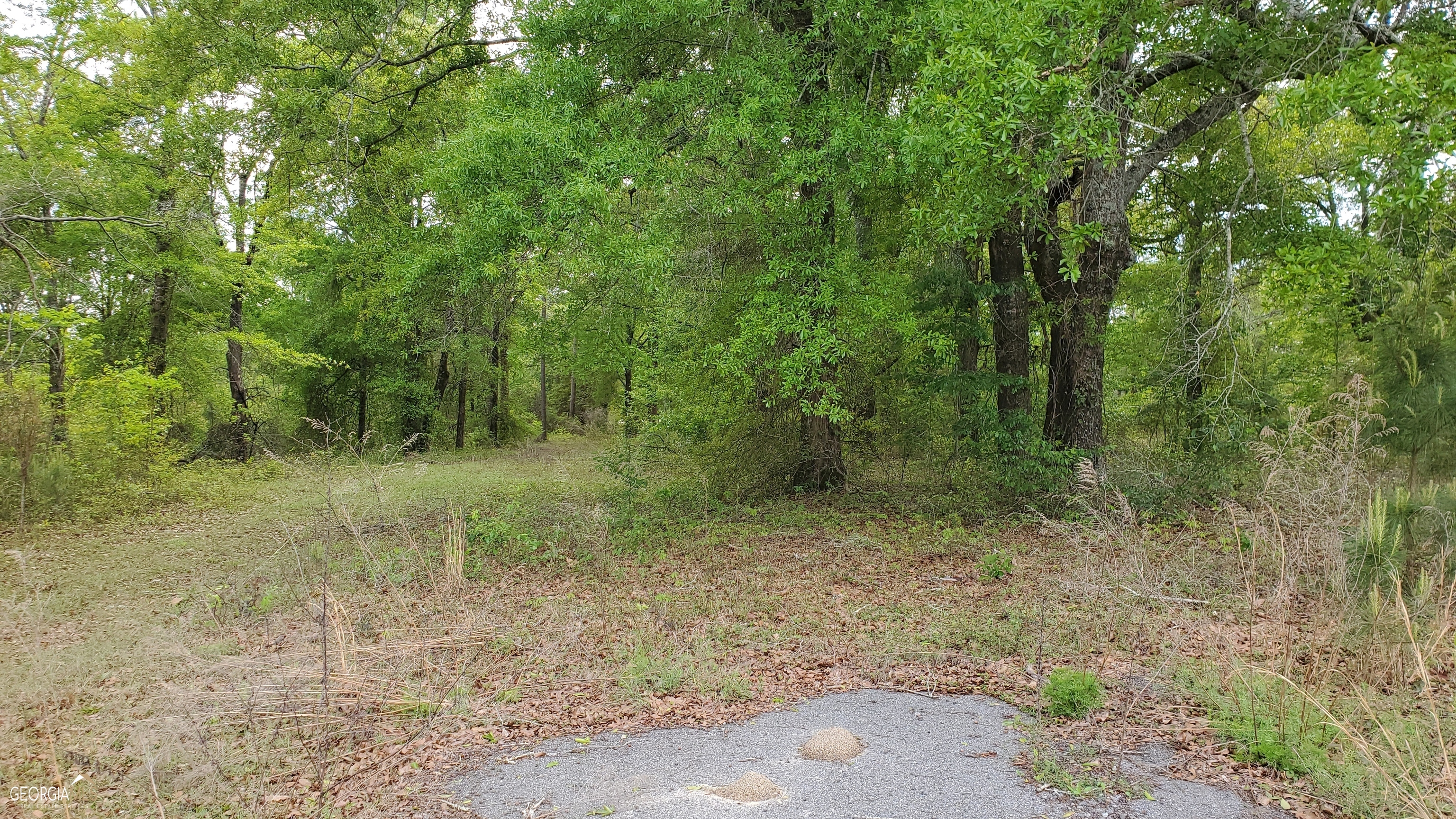 0 Meeks Road Property Photo 14